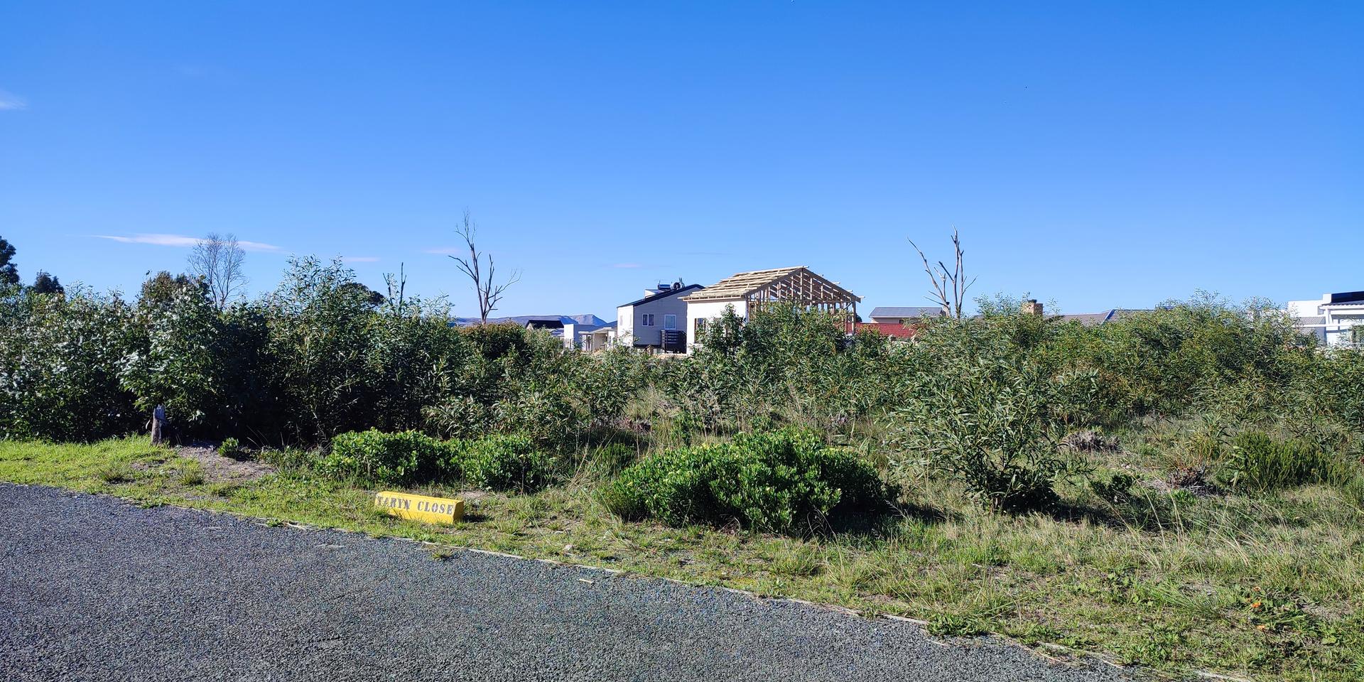 Image 5 of 6