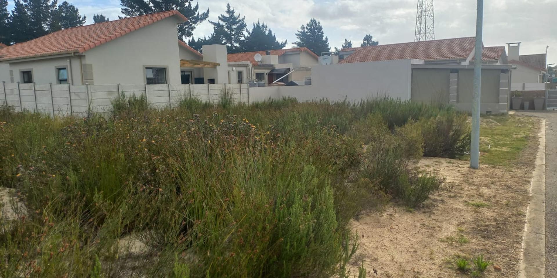 Image 4 of 6