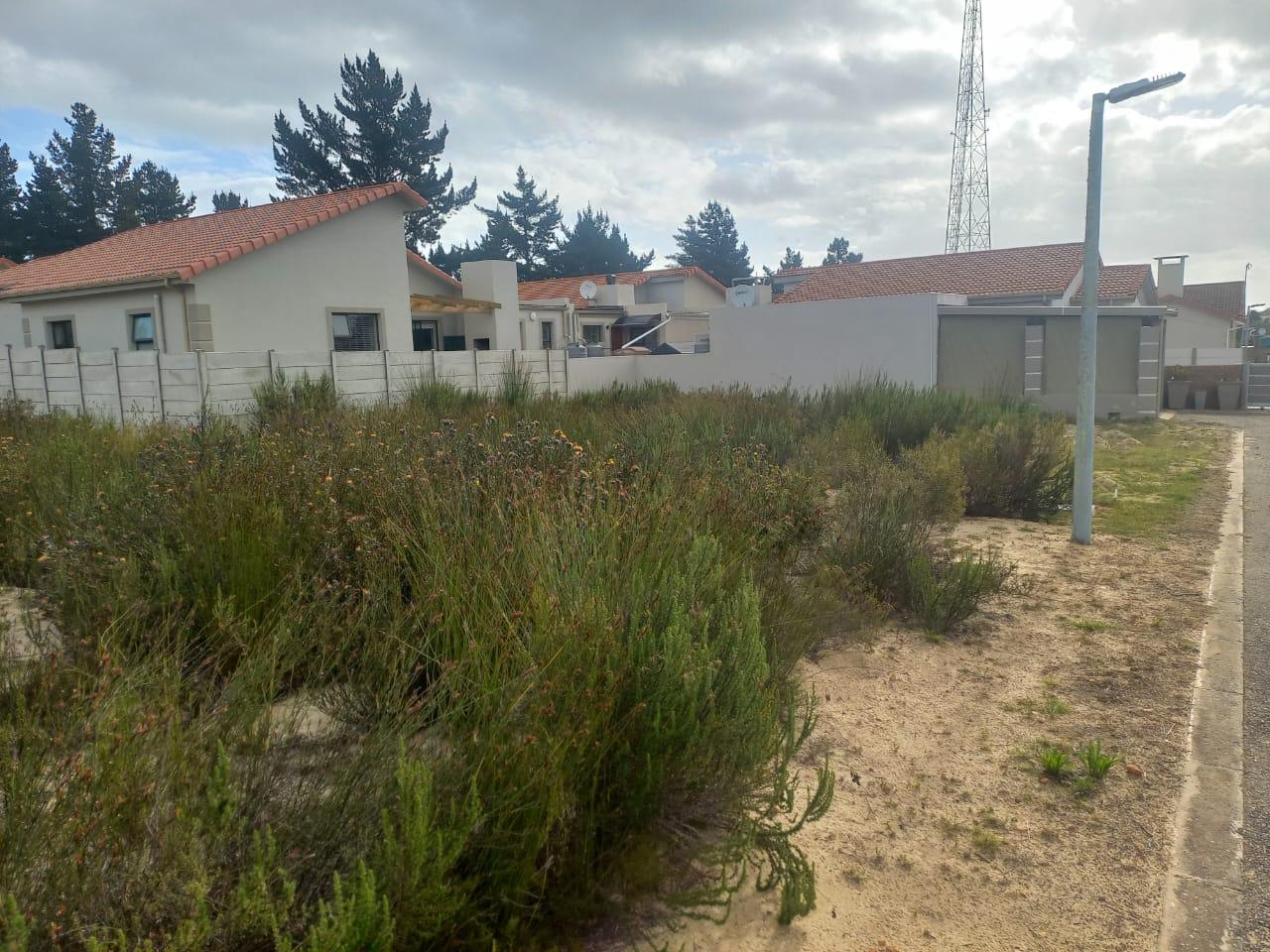 Image 4 of 6