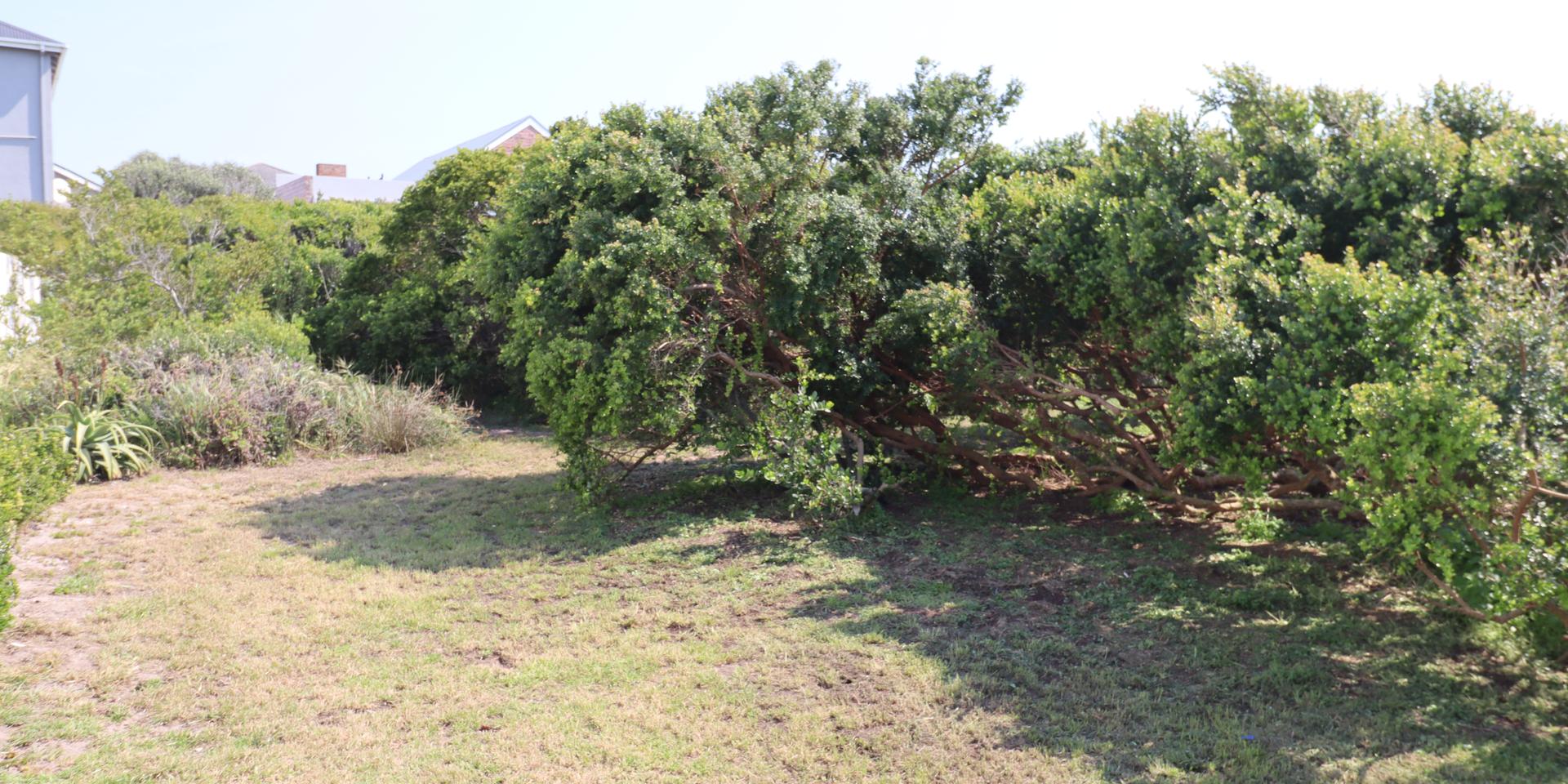 Image 4 of 6