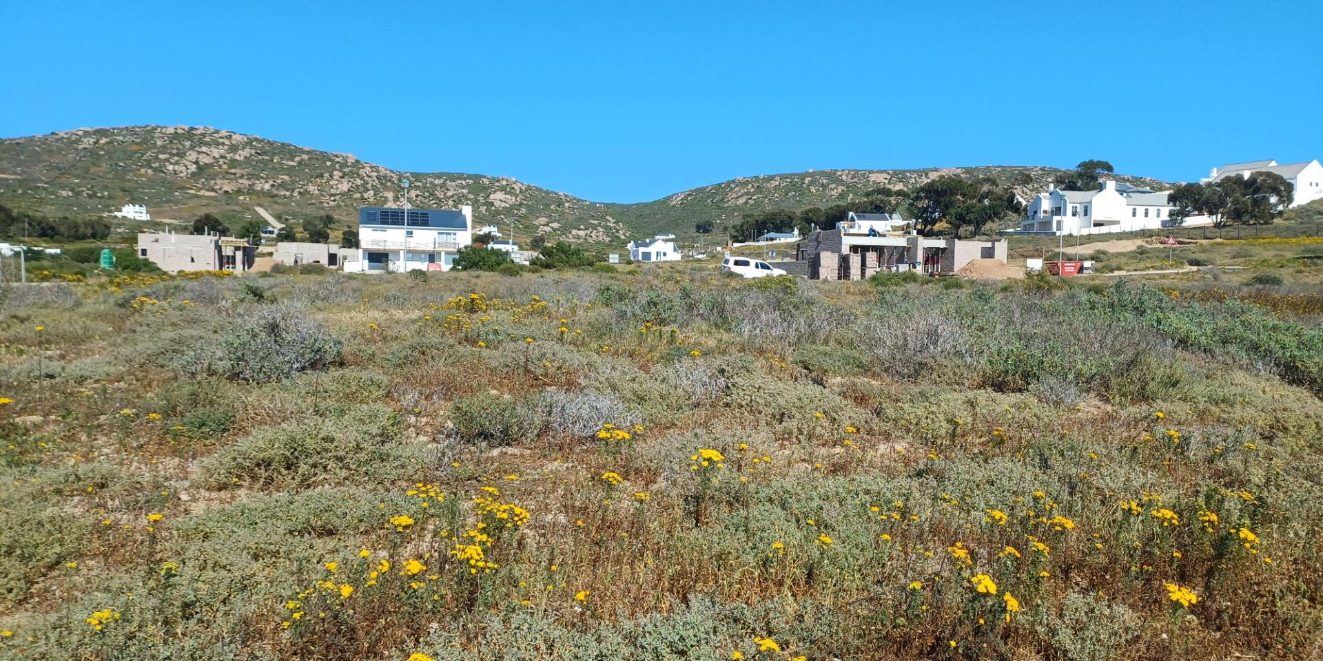 Image 2 of 6