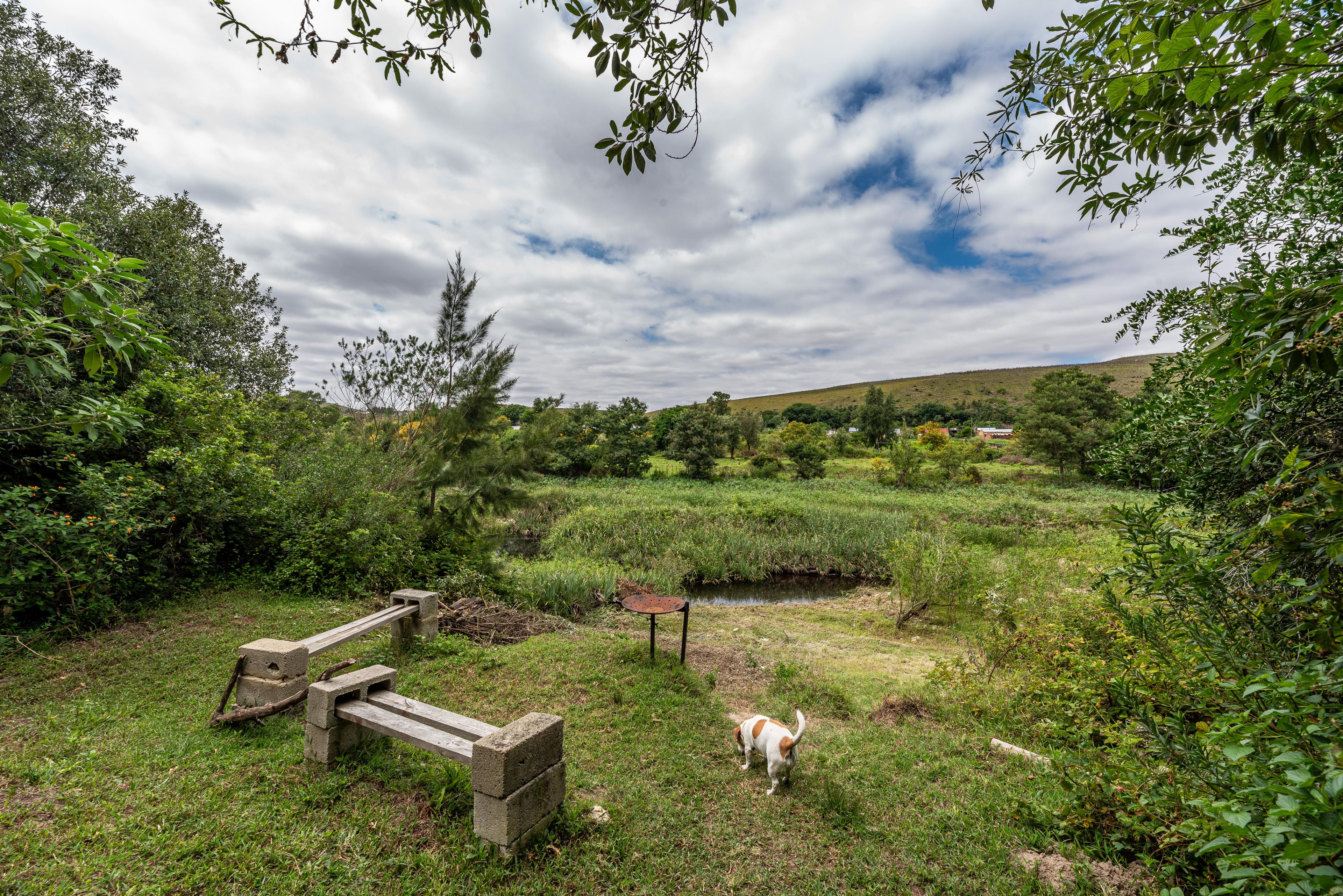 Image 20