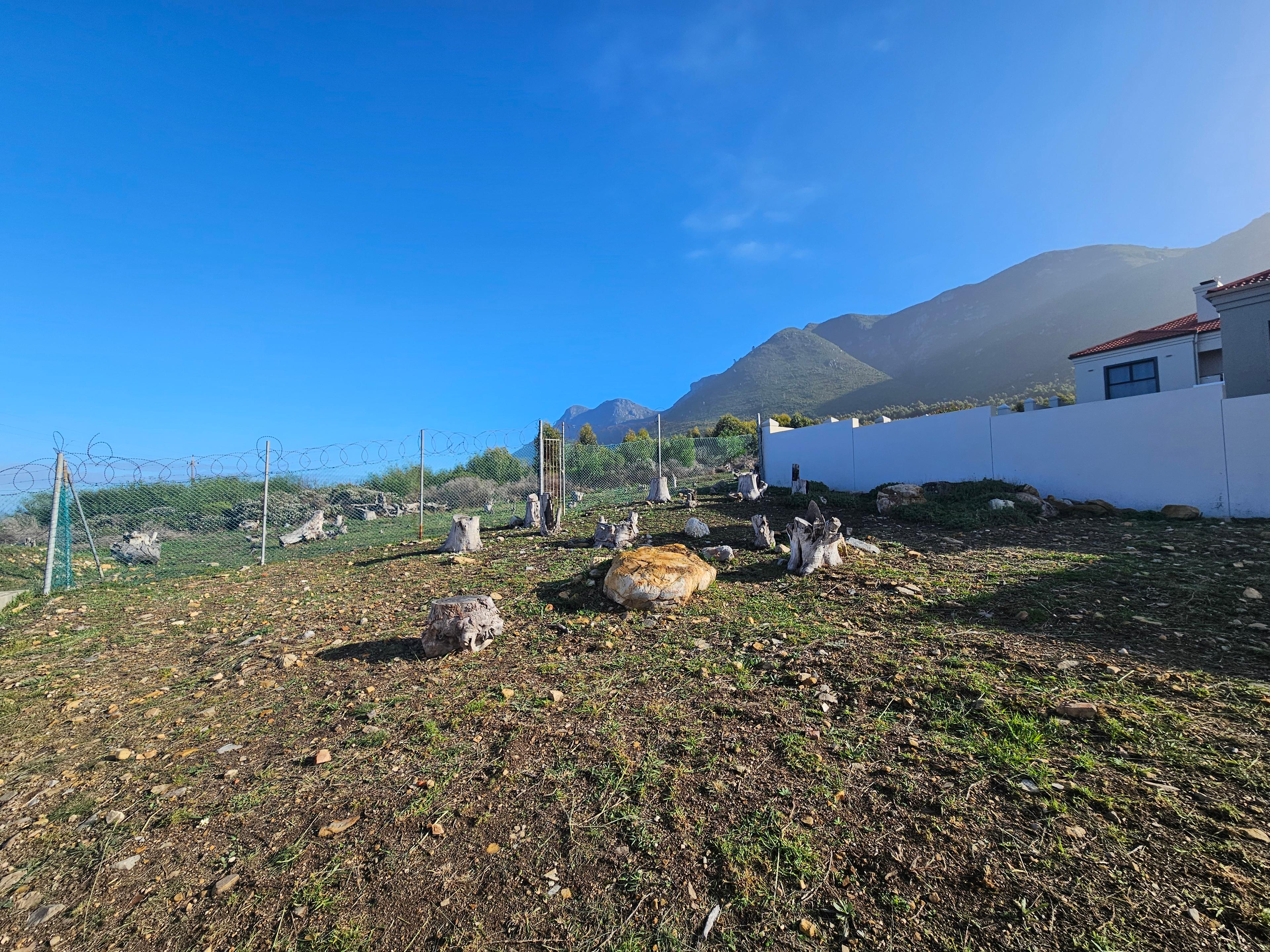 Image 4 of 6