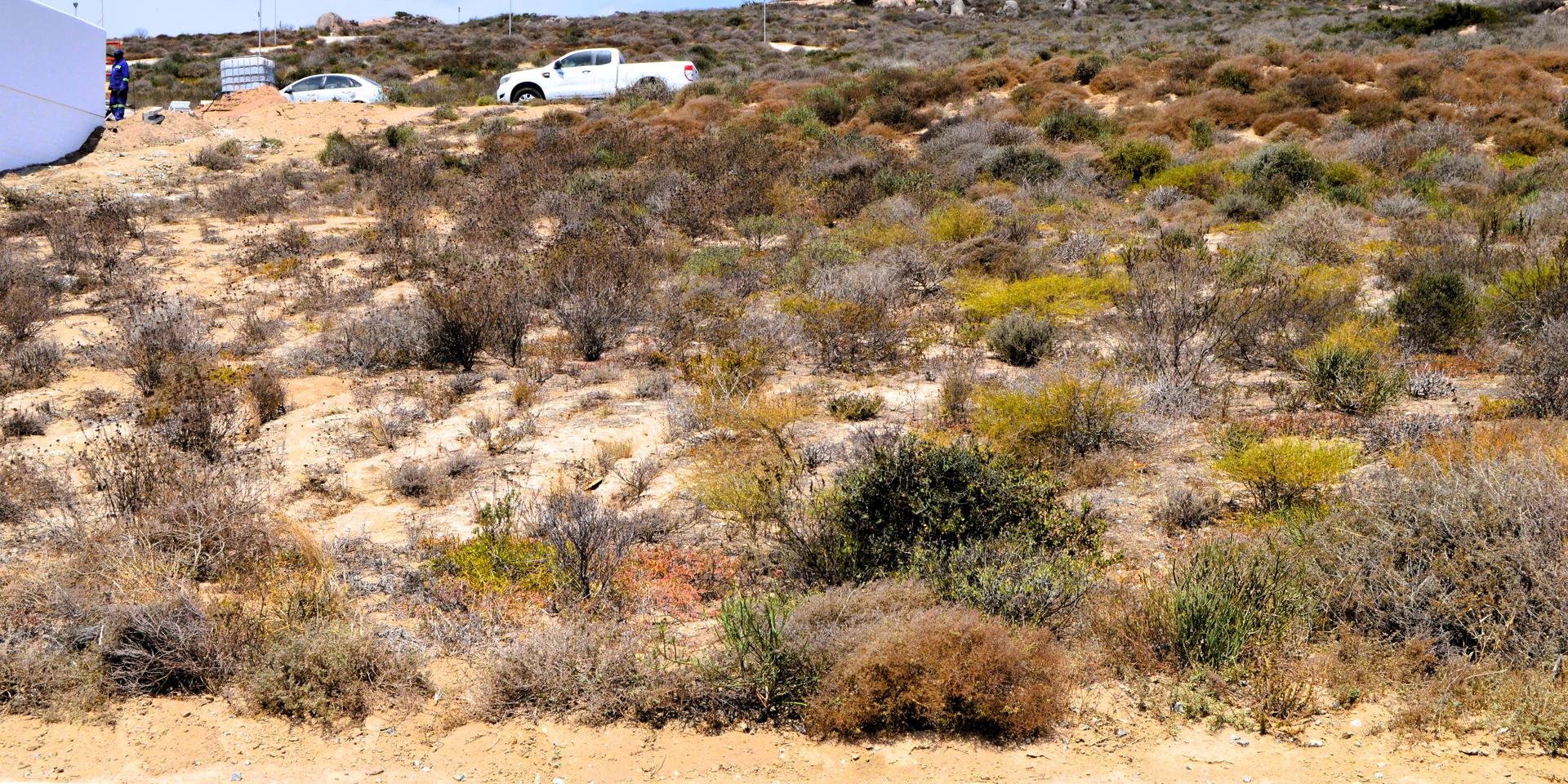 Image 2 of 6