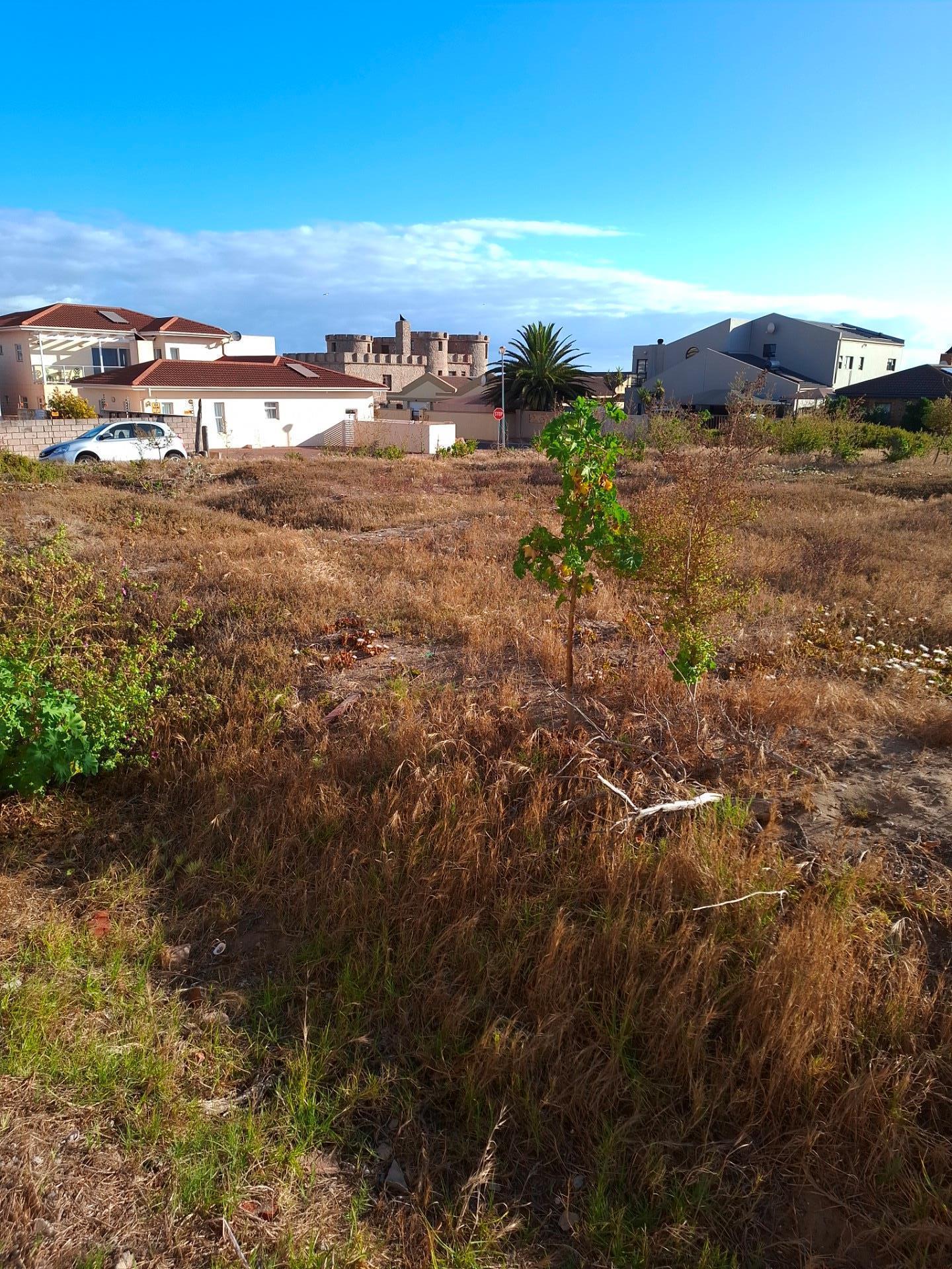 Image 3 of 6