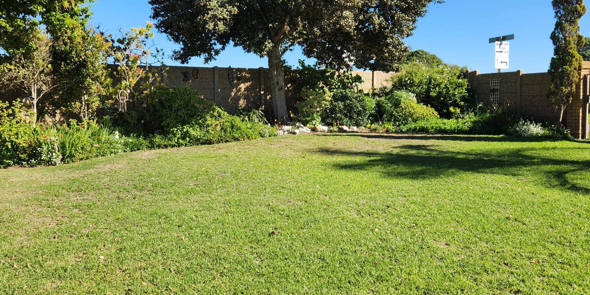 Image 4 of 6