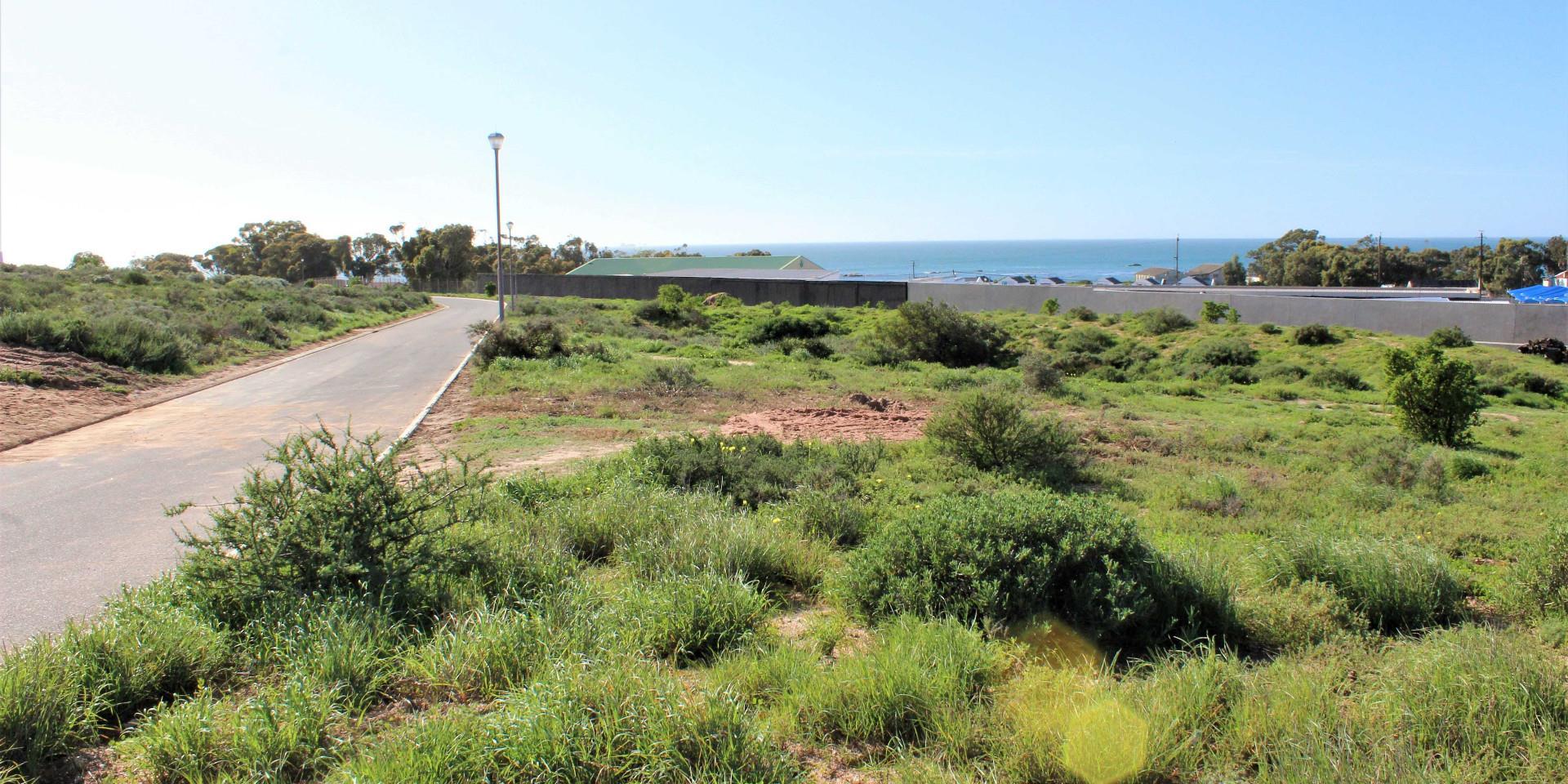 Image 5 of 6
