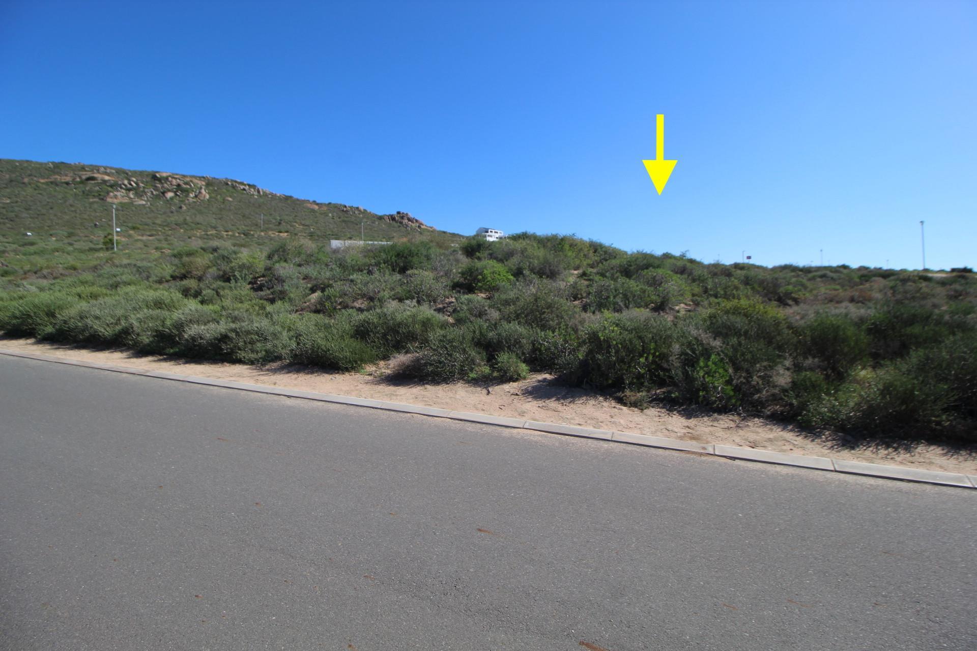 Image 3 of 6