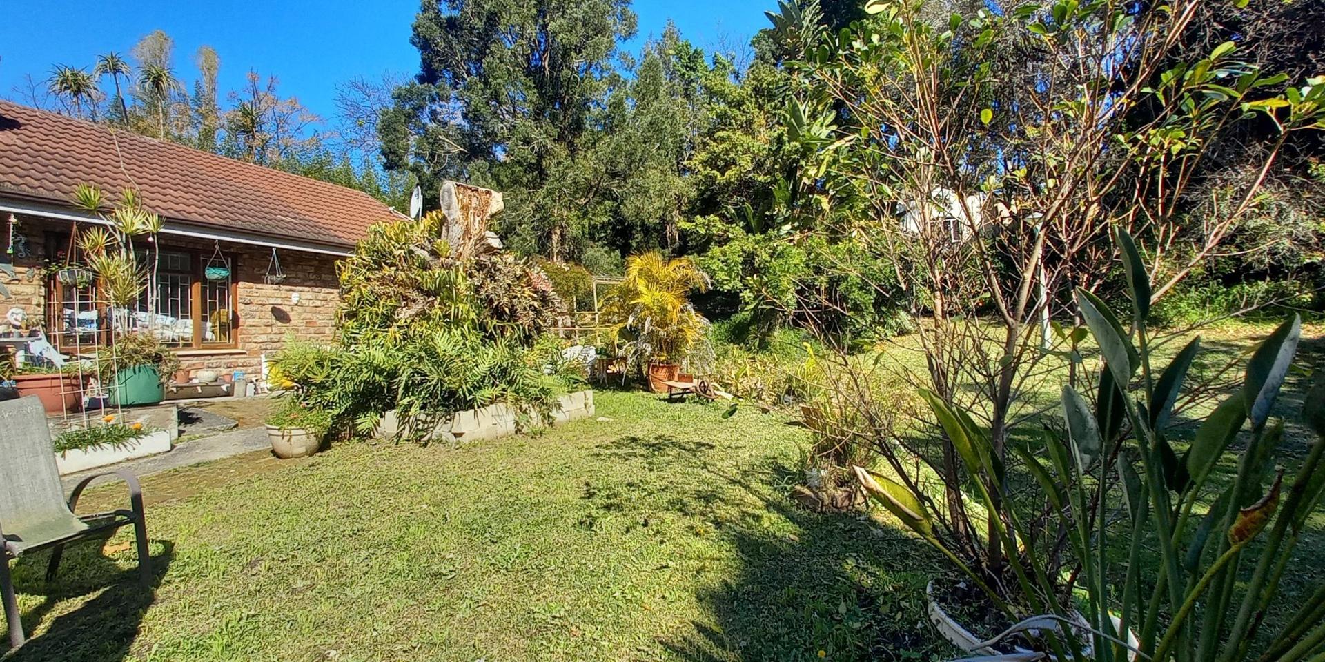 Image 5 of 6
