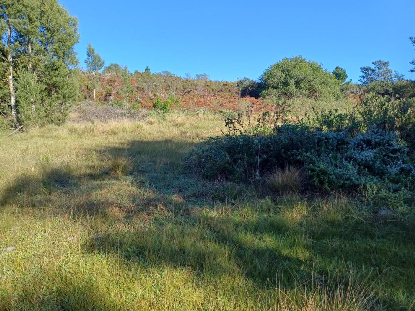 Image 4 of 6