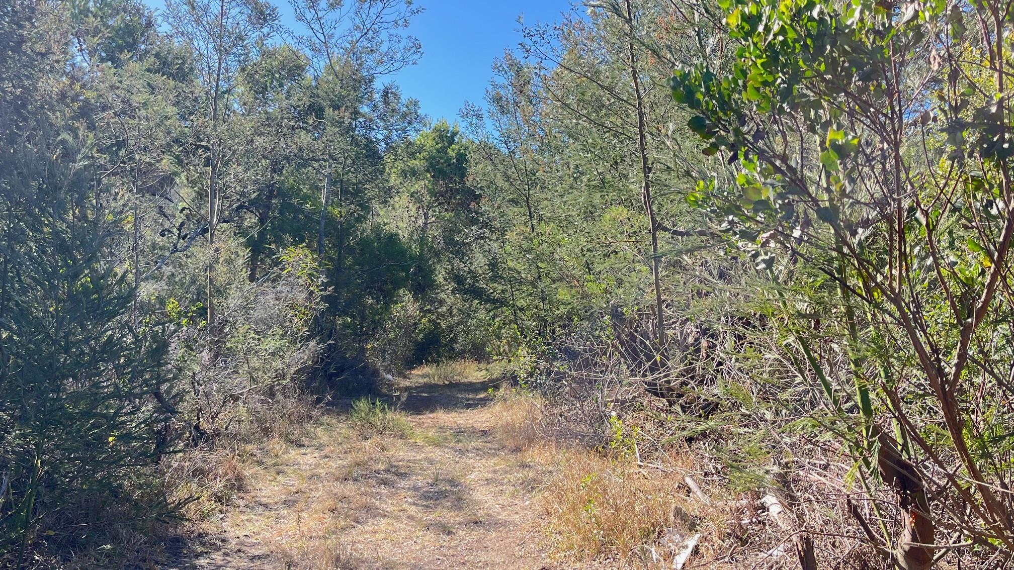 Image 5 of 6