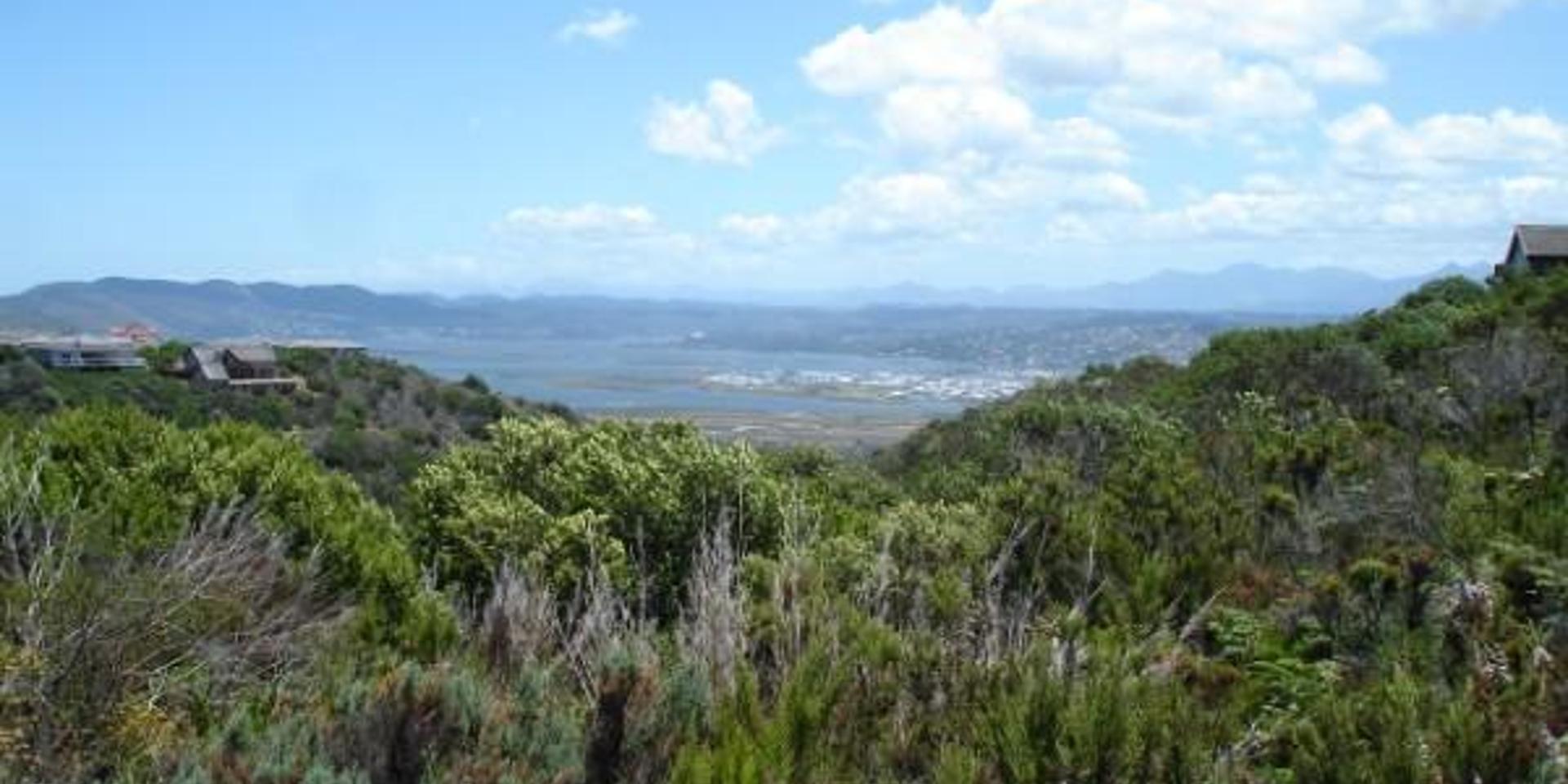 Image 3 of 6