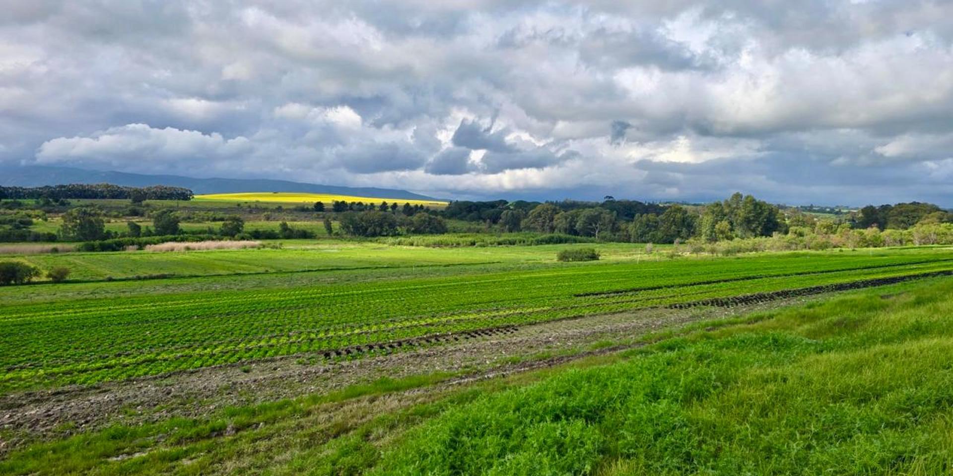 Image 4 of 6