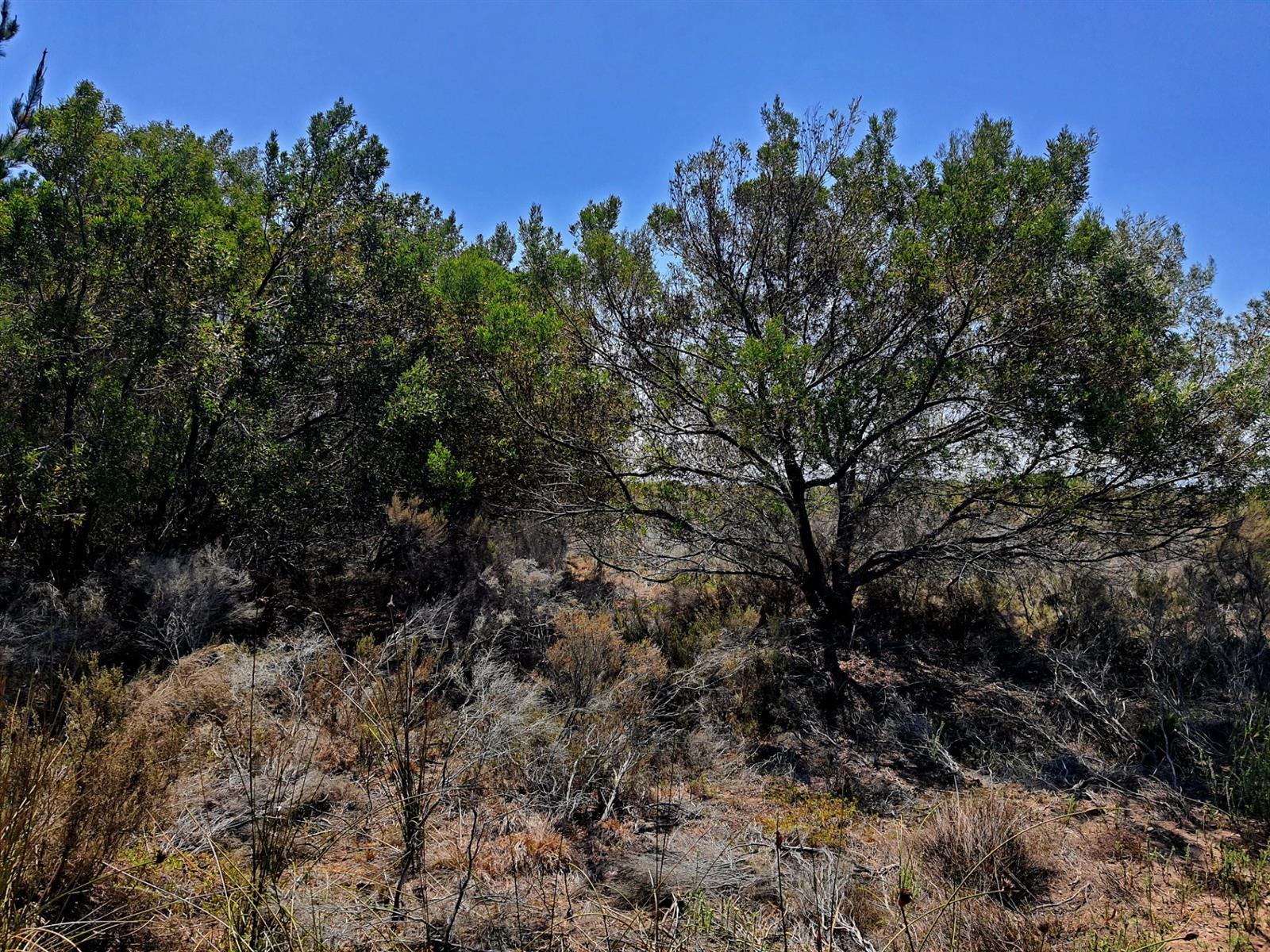 Image 49