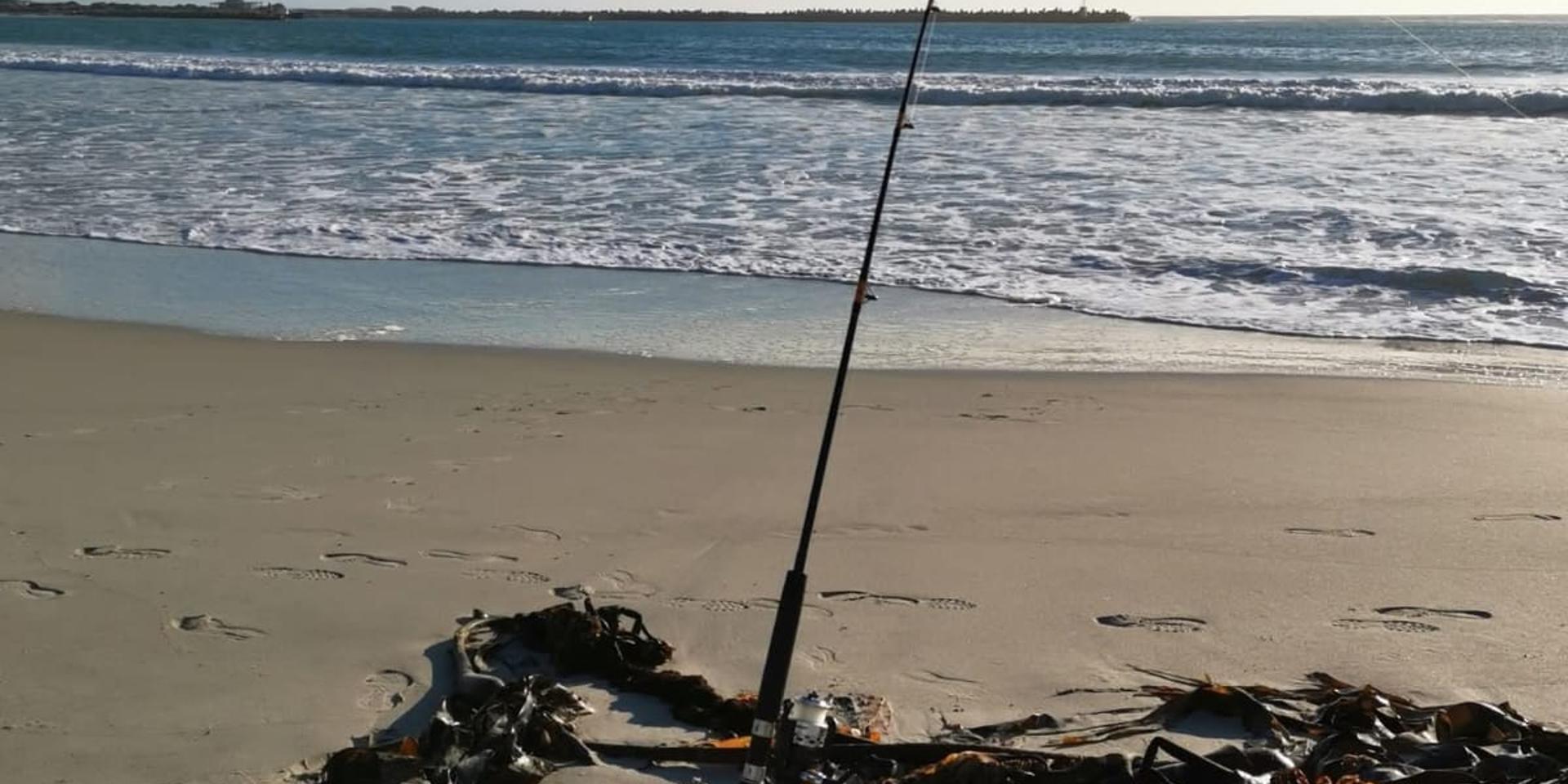 Image 4 of 6