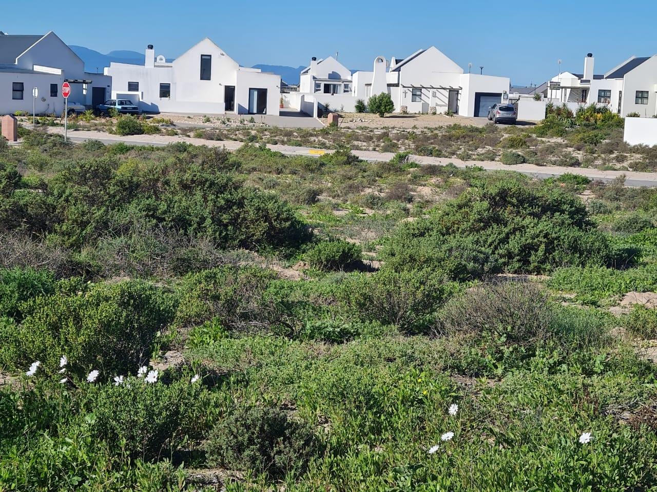 Image 12
