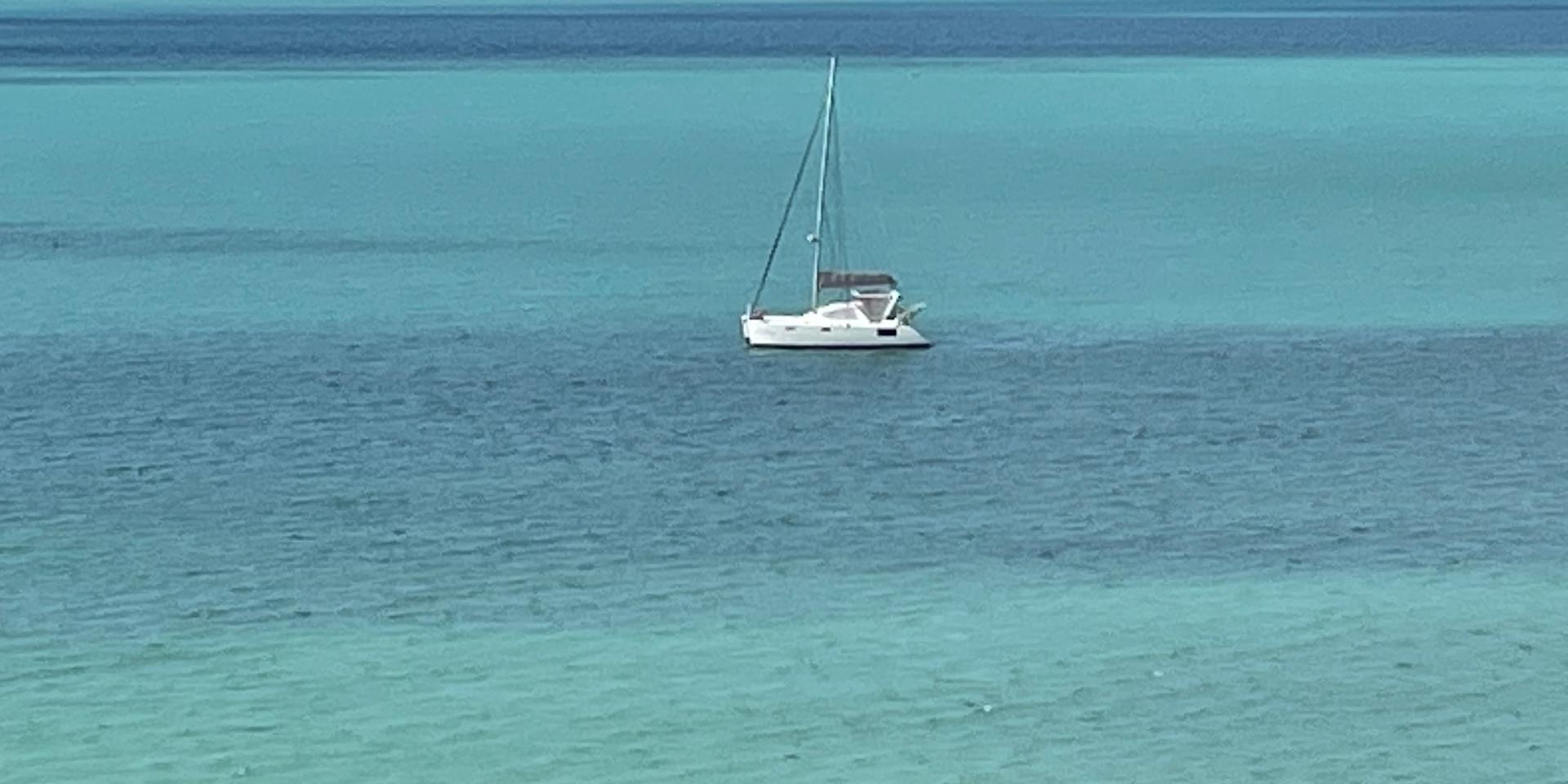 Image 3 of 6