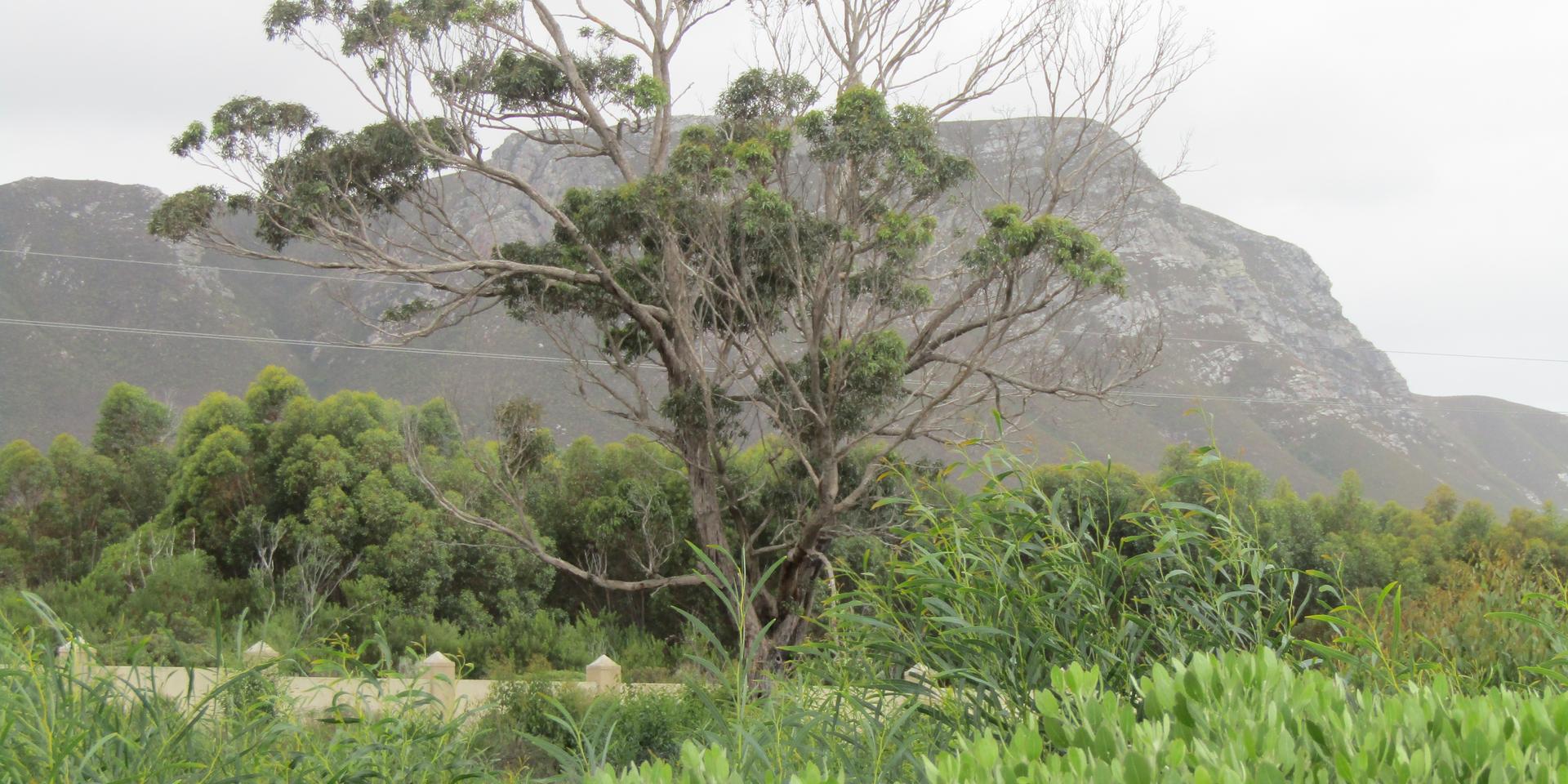 Image 4 of 6