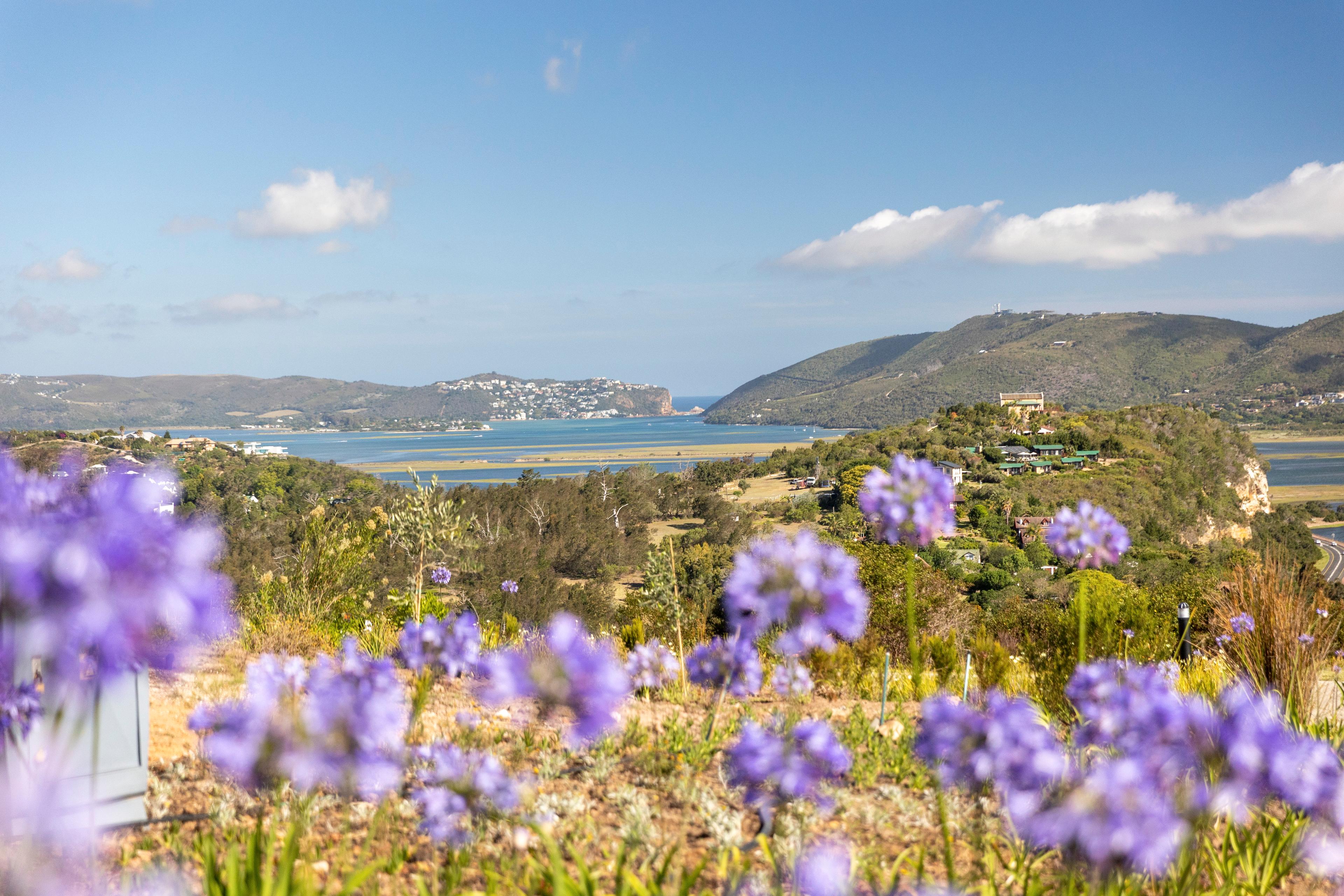 Image 14