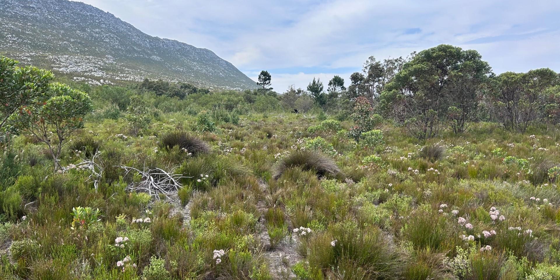 Image 2 of 6