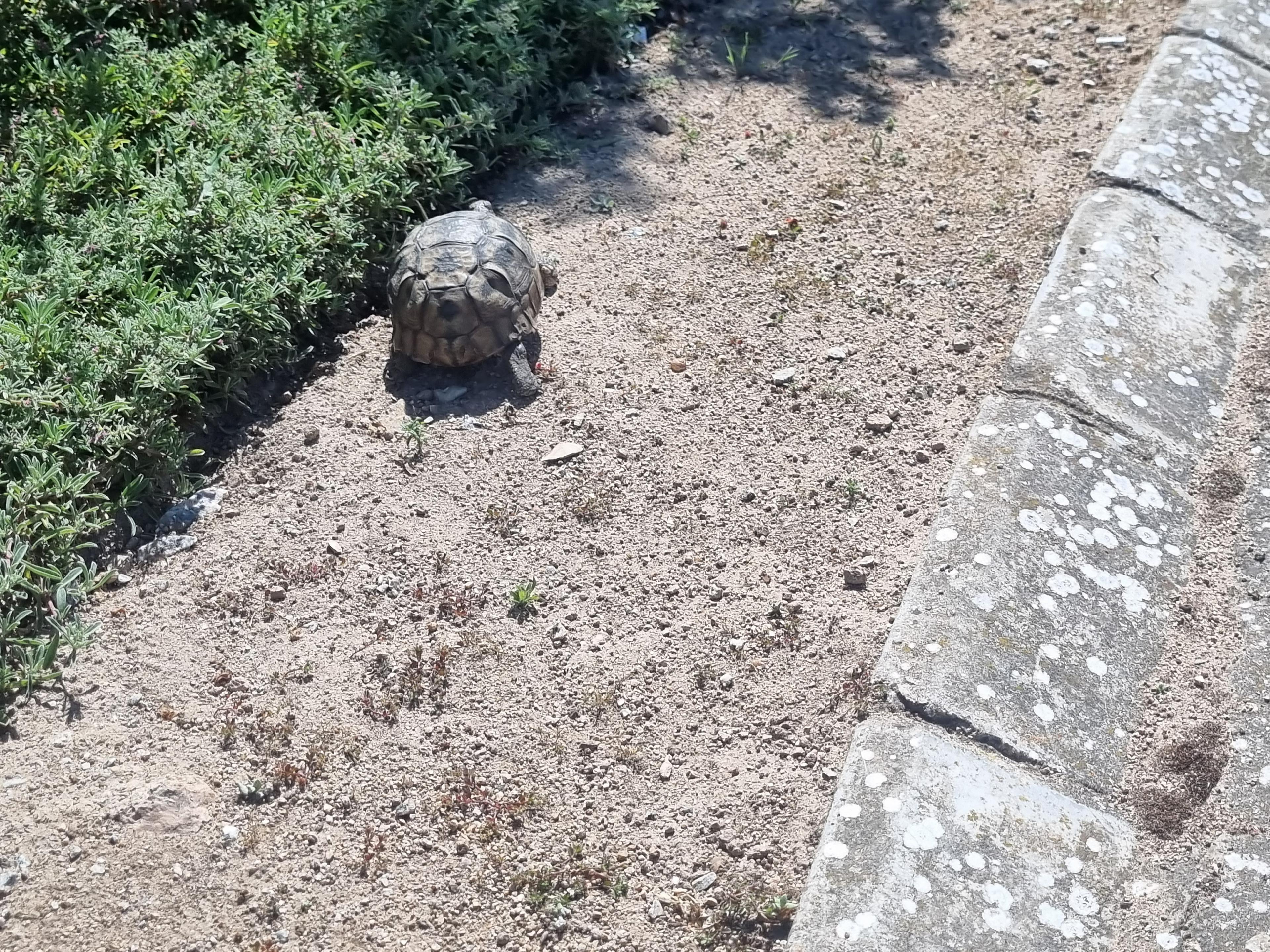 Image 6