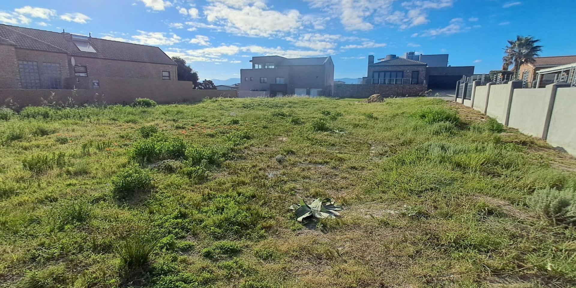 Image 4 of 6