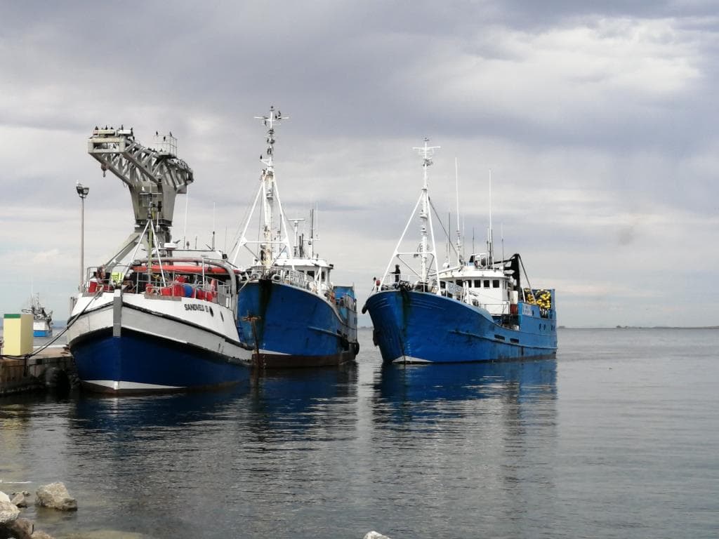 Image 17