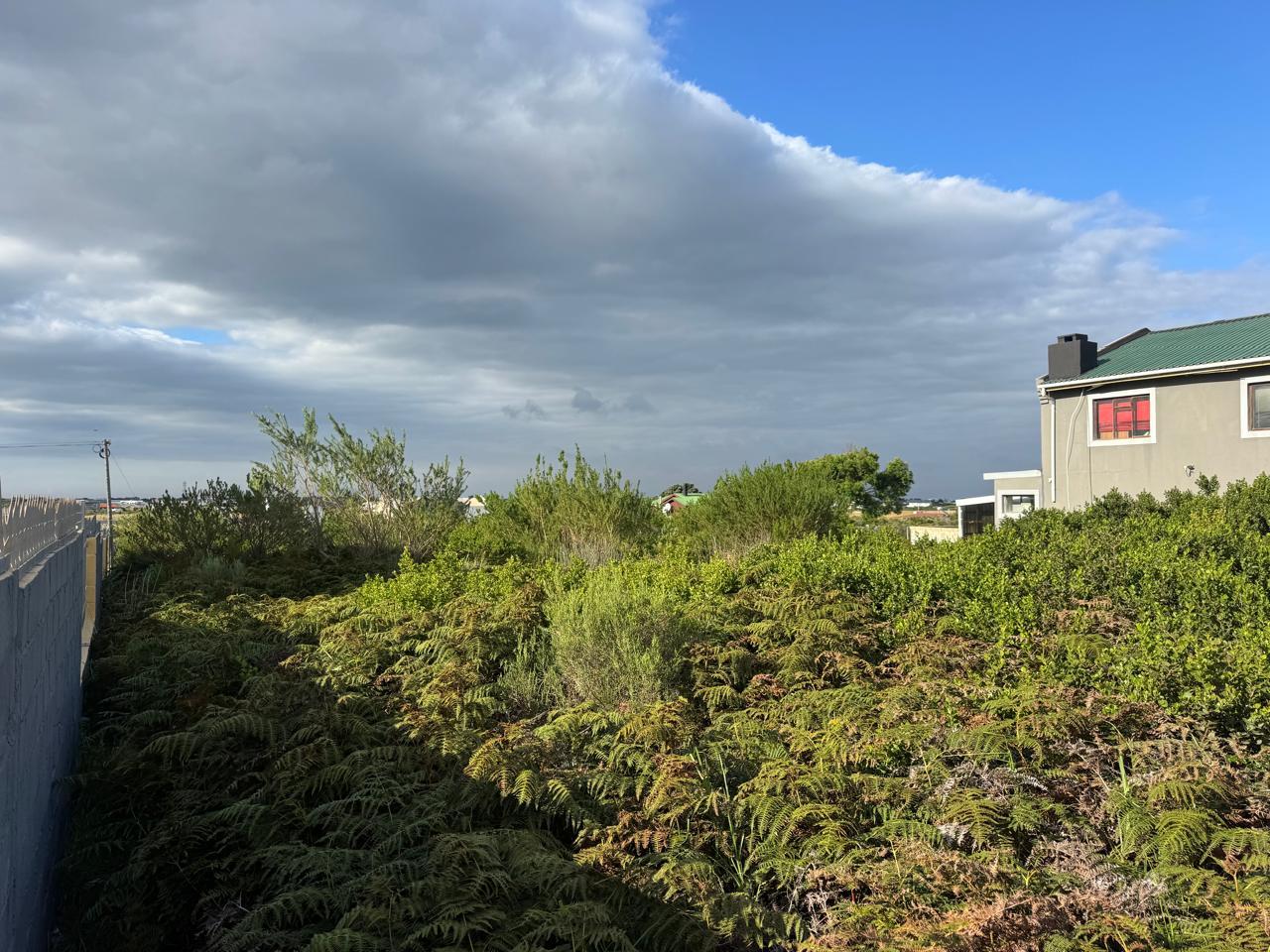 Image 9