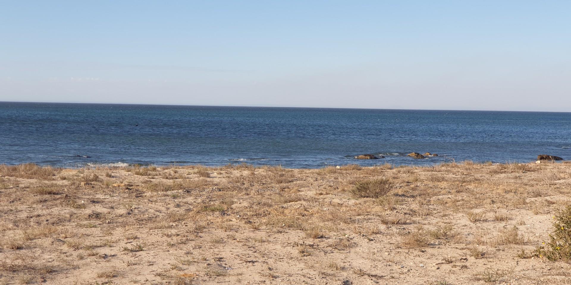 Image 4 of 6