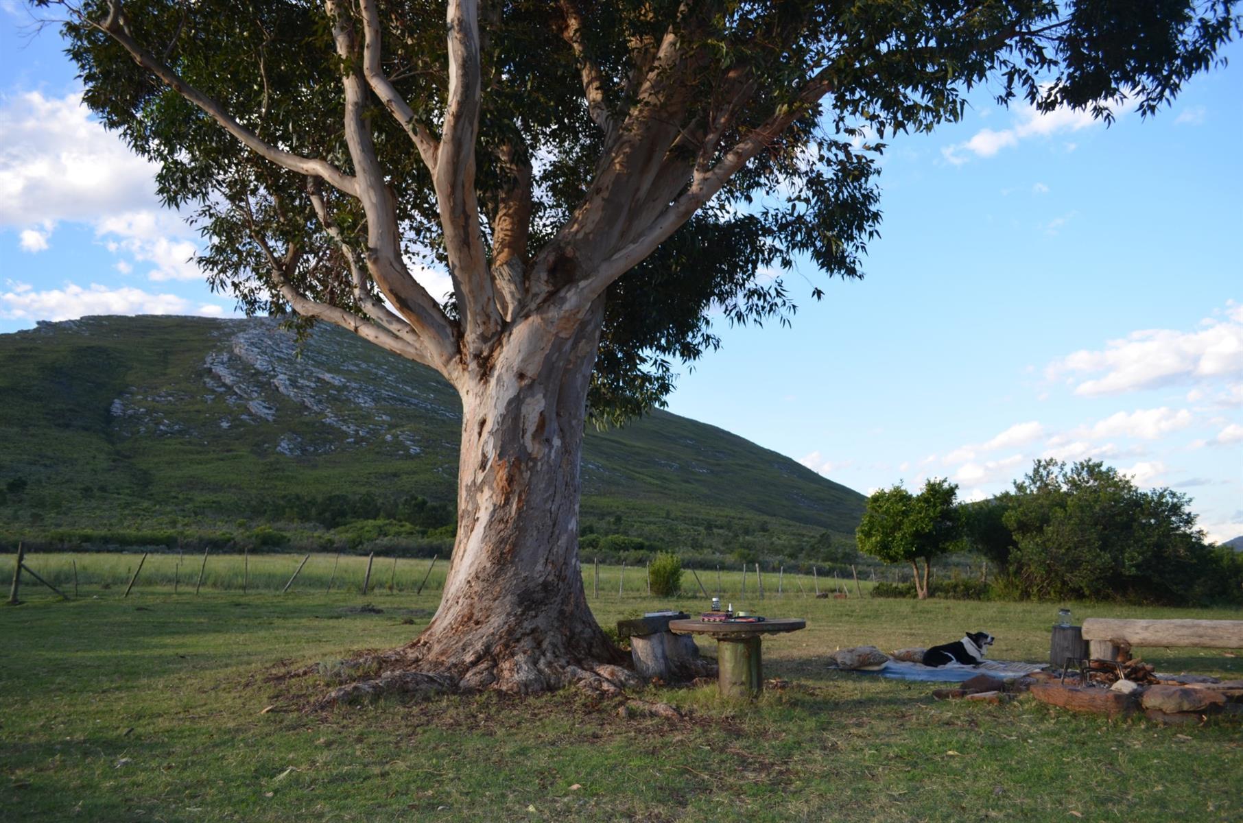 Image 32