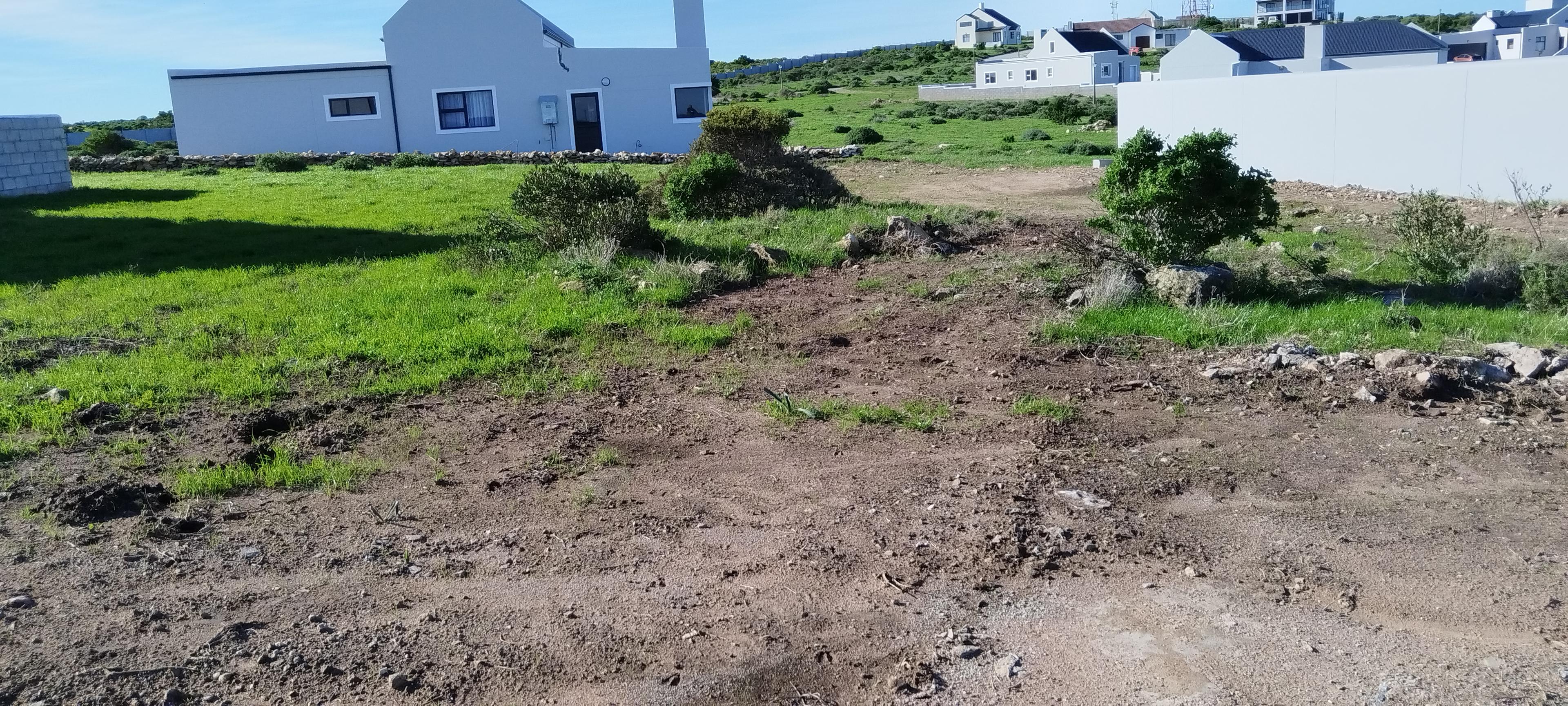 Image 4 of 6