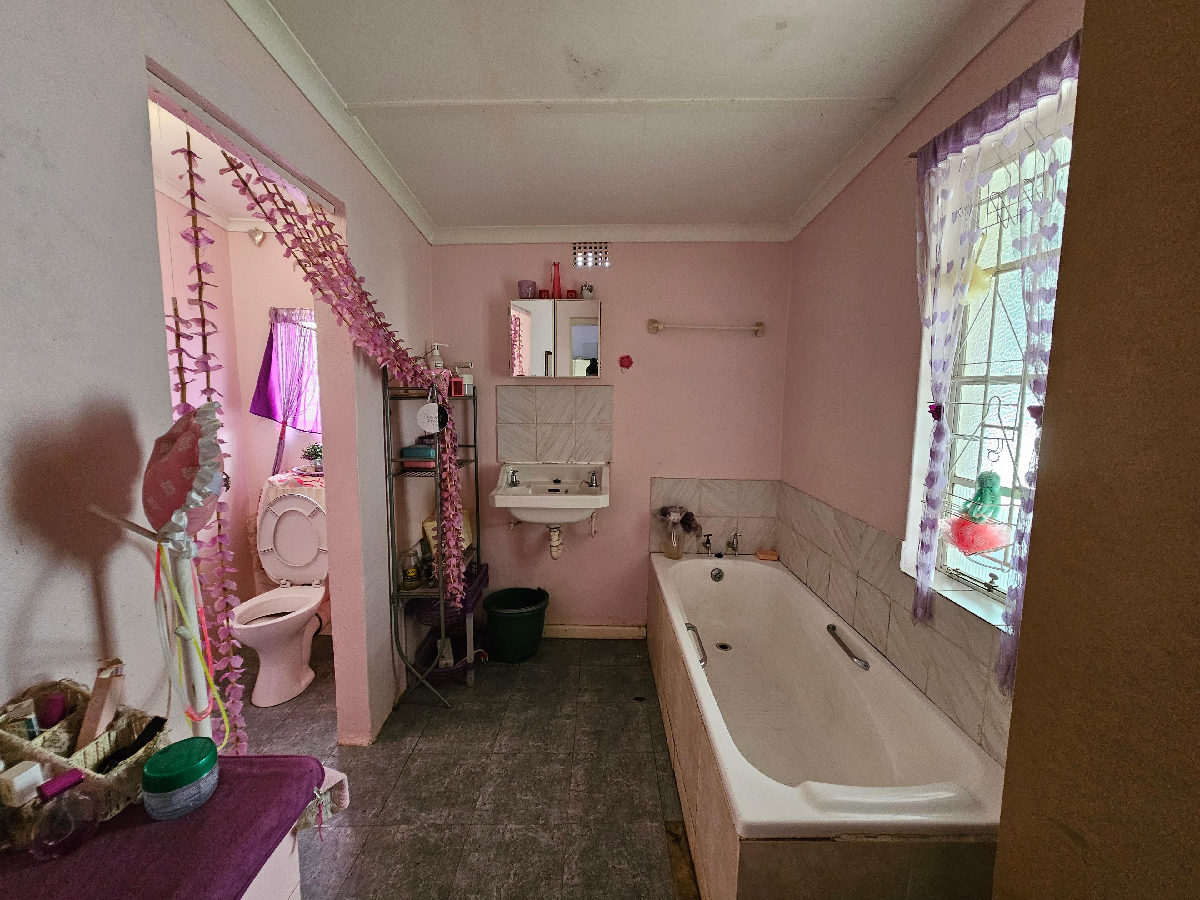 Image 12