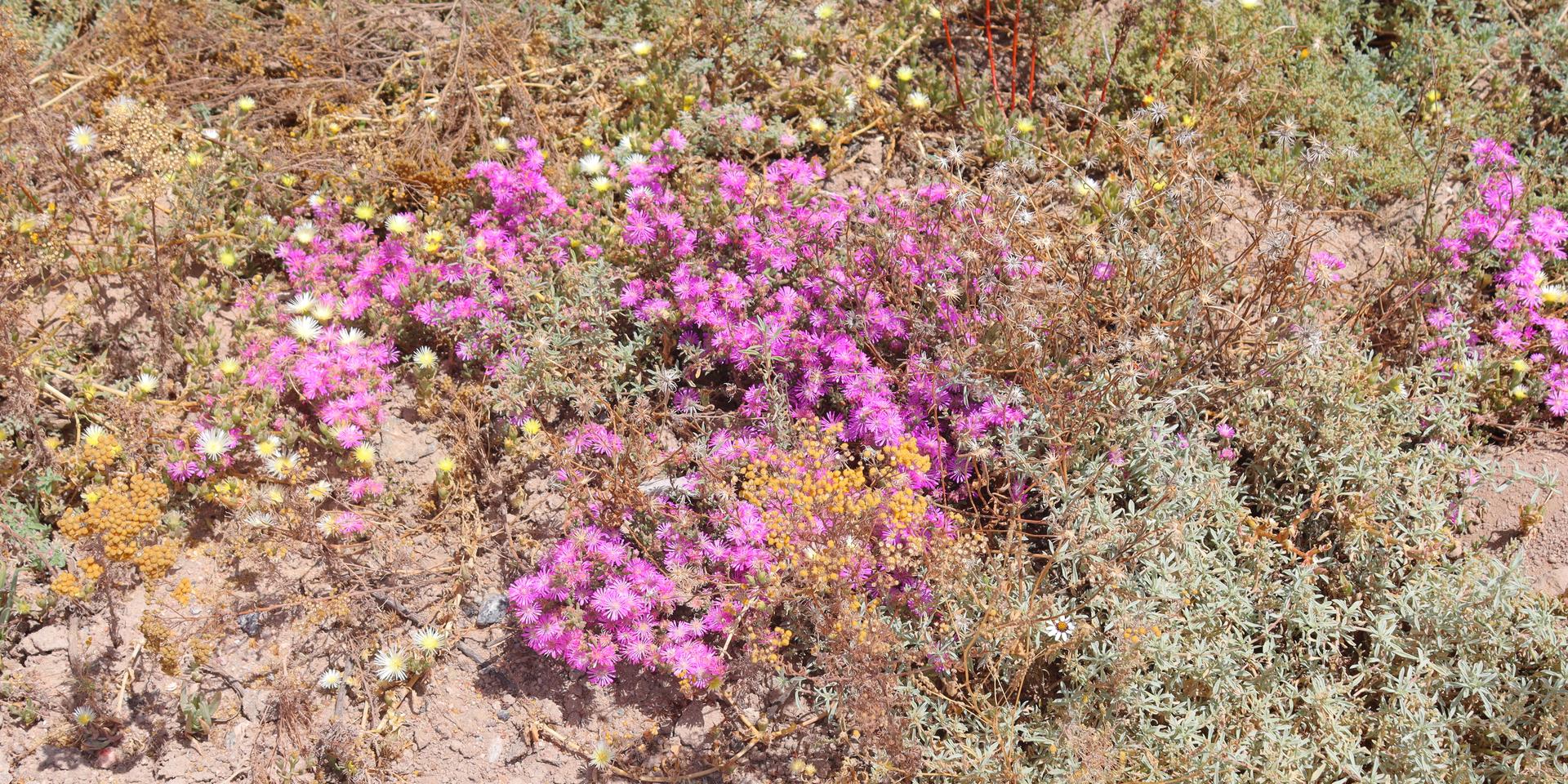 Image 4 of 6