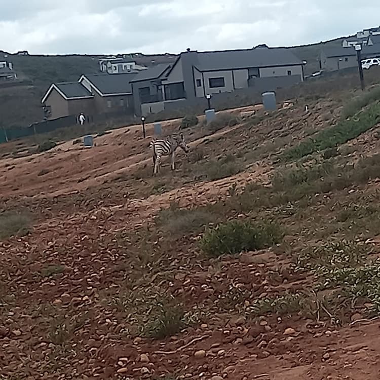 Main property image