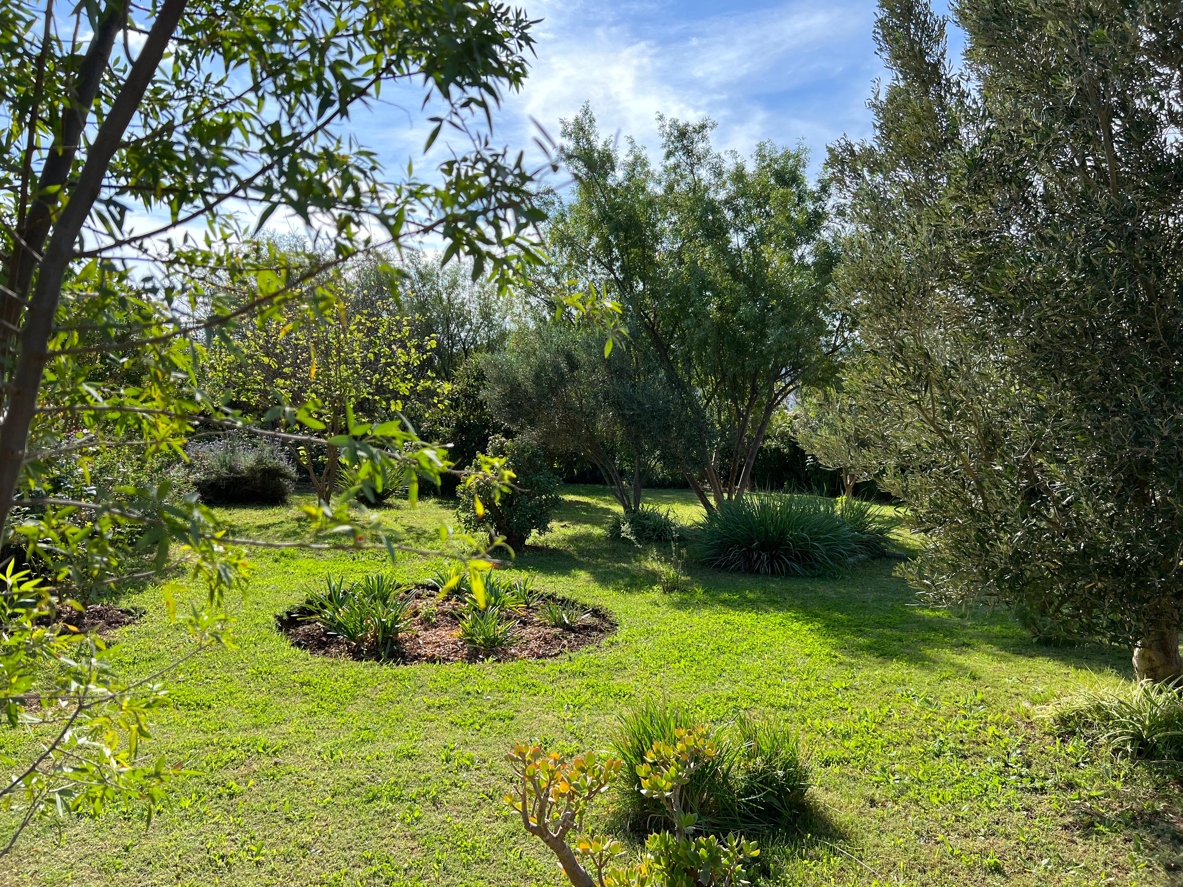 Image 42