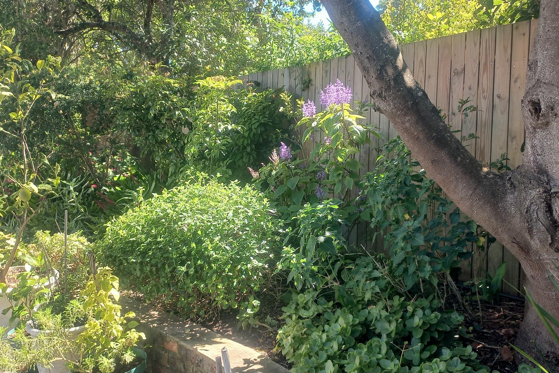 Image 52