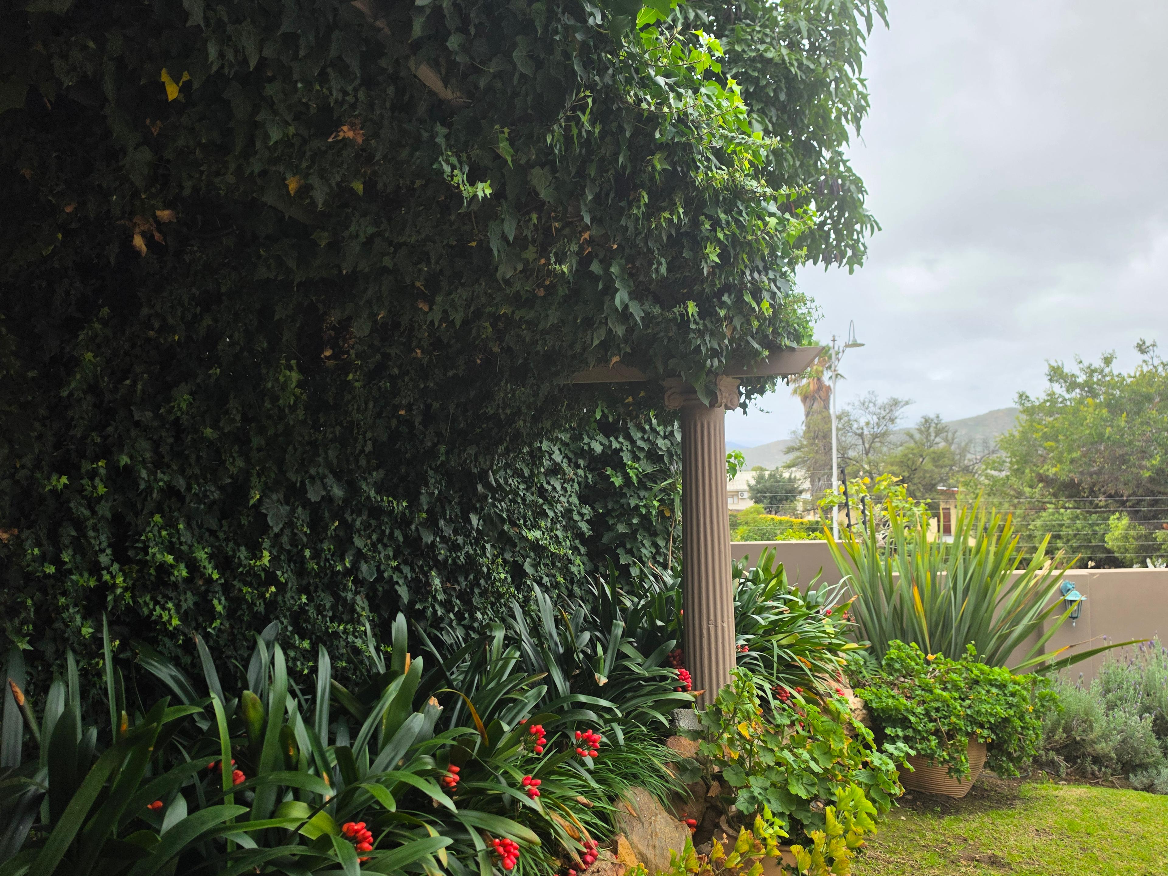 Image 4 of 6