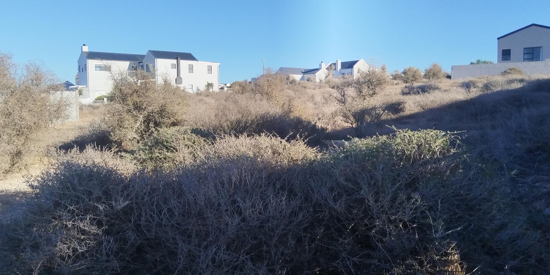 Image 5 of 6