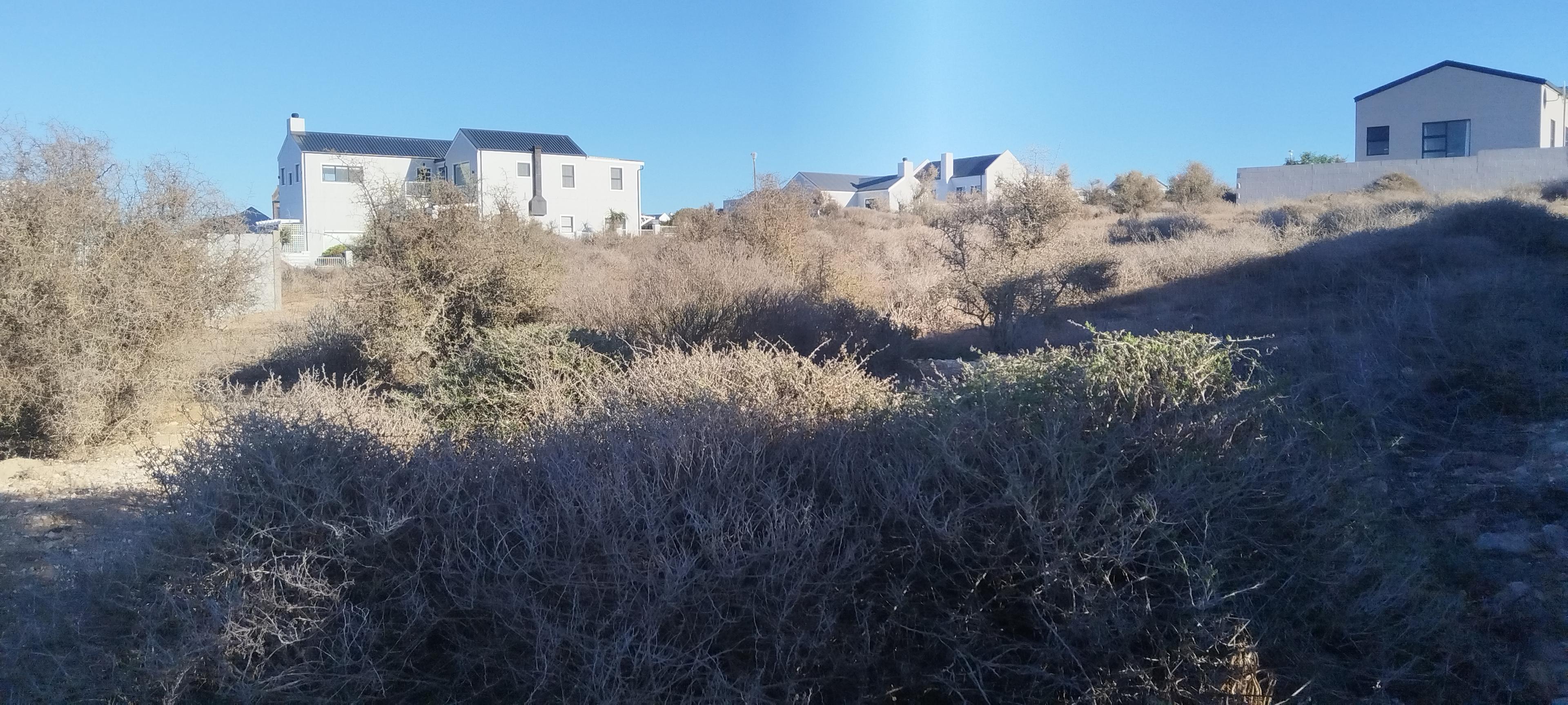 Image 5 of 6