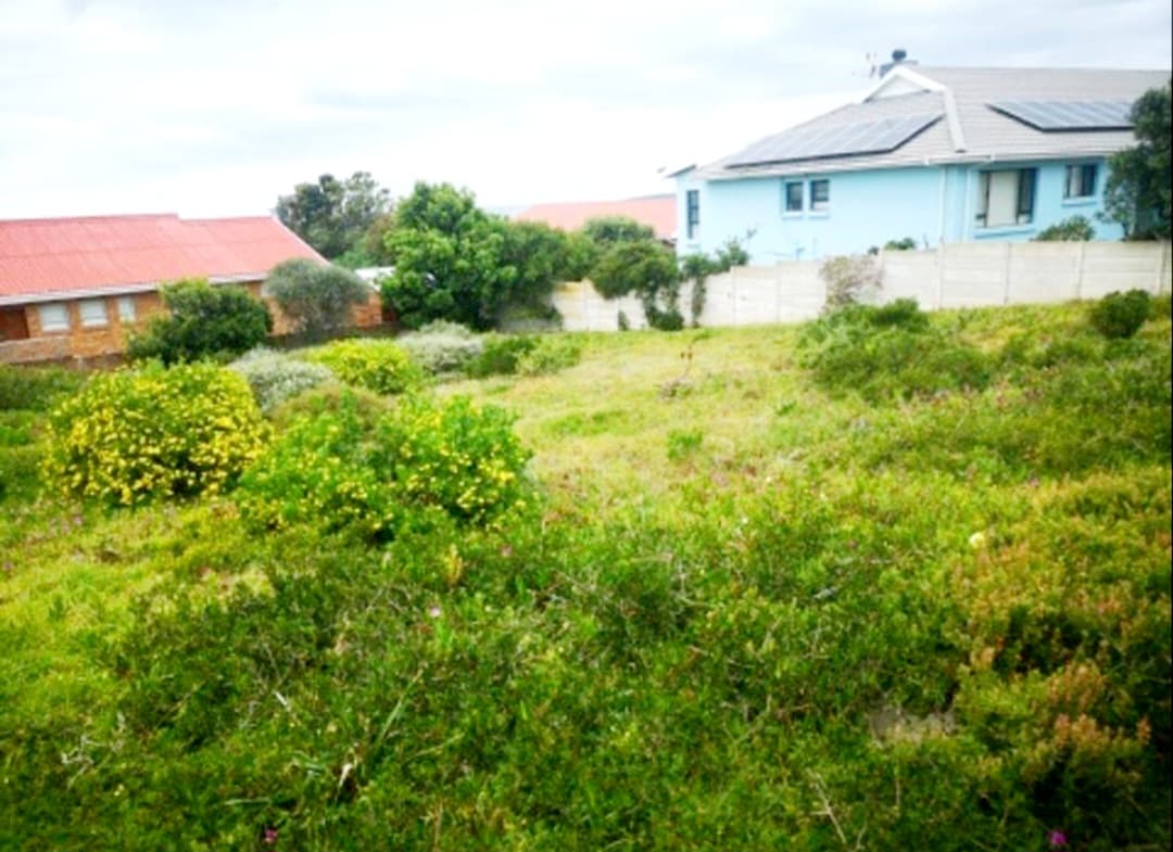 Image 9
