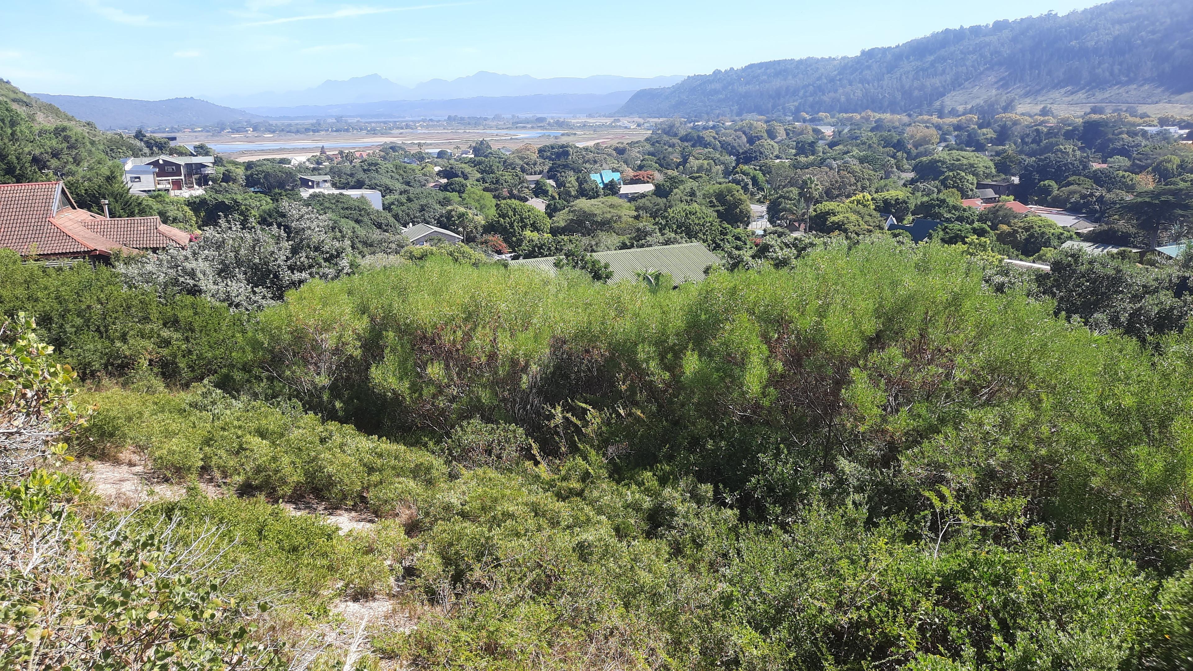 Image 2 of 6