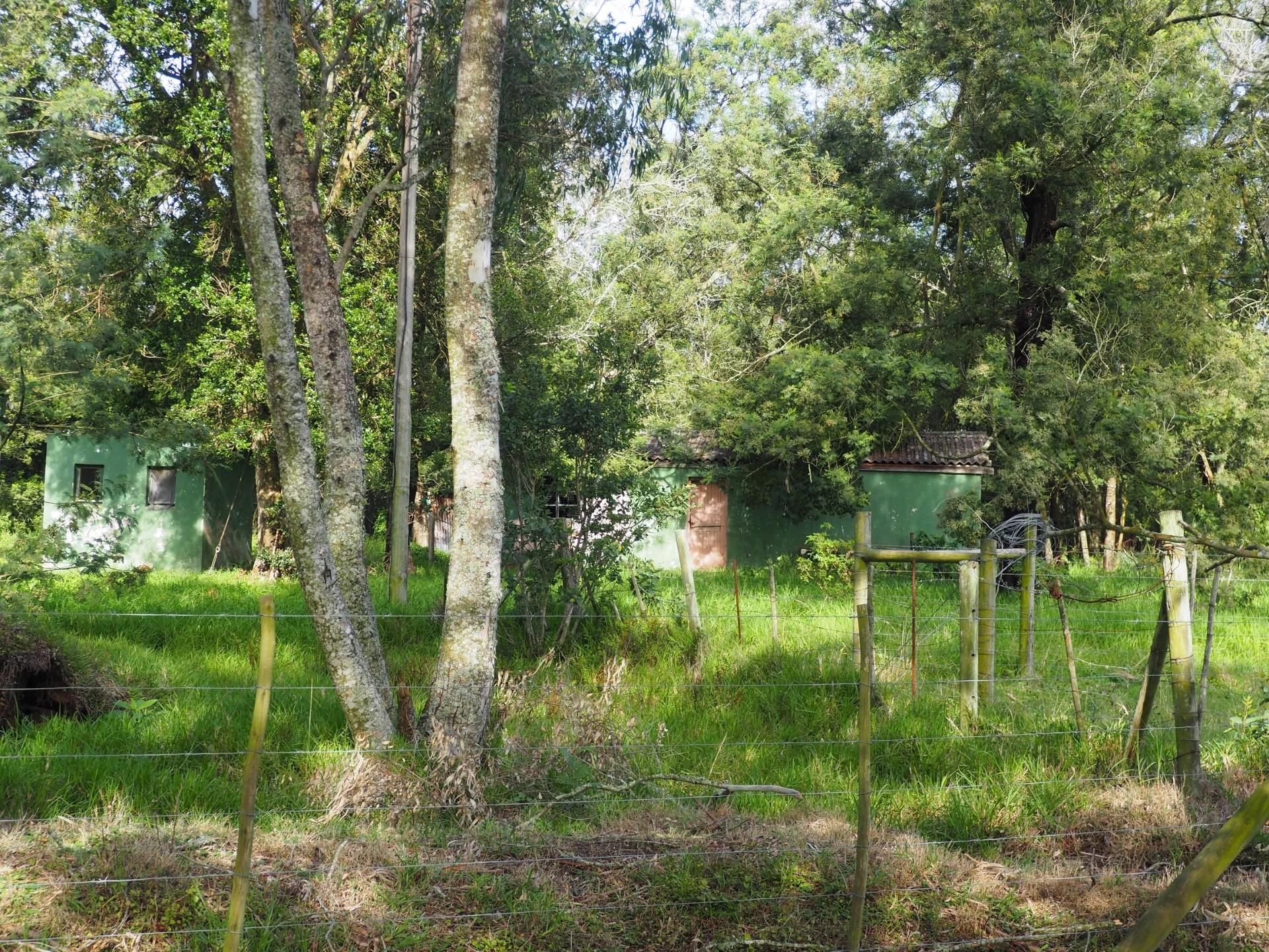 Image 4 of 6