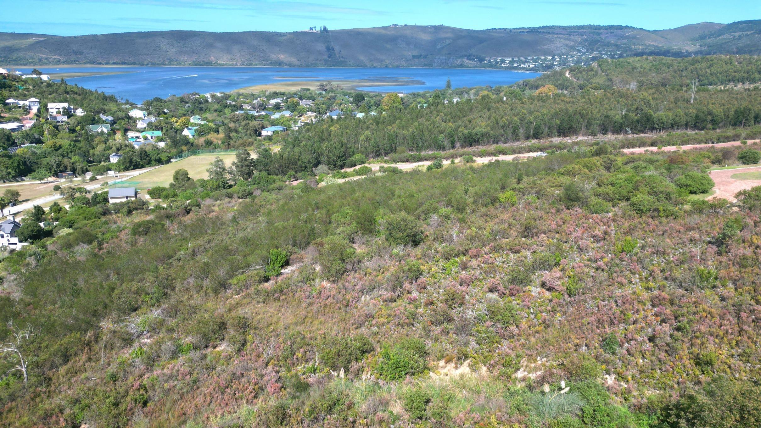 Image 3 of 6
