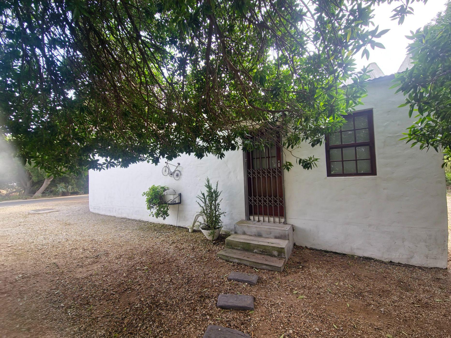 Image 21