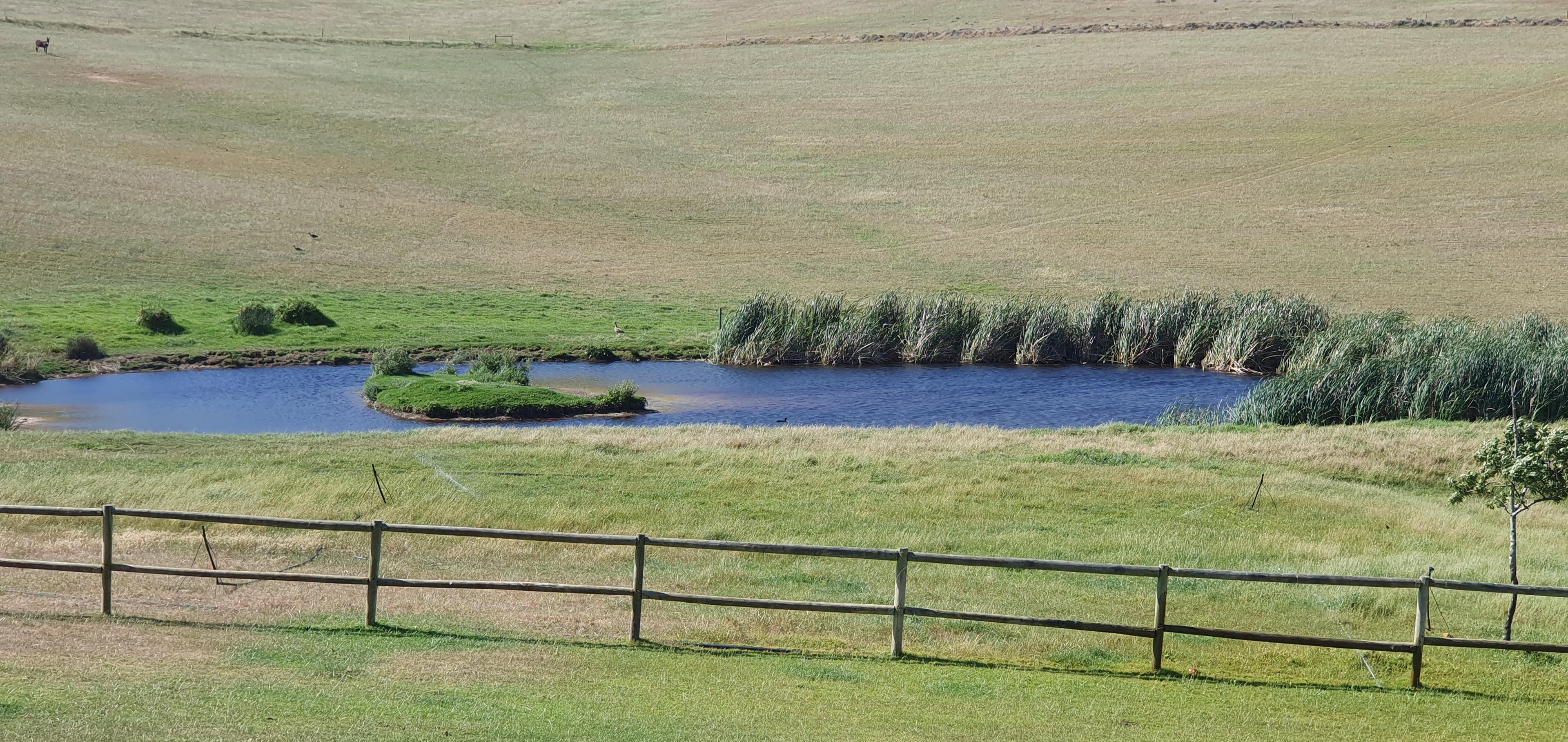 Image 85