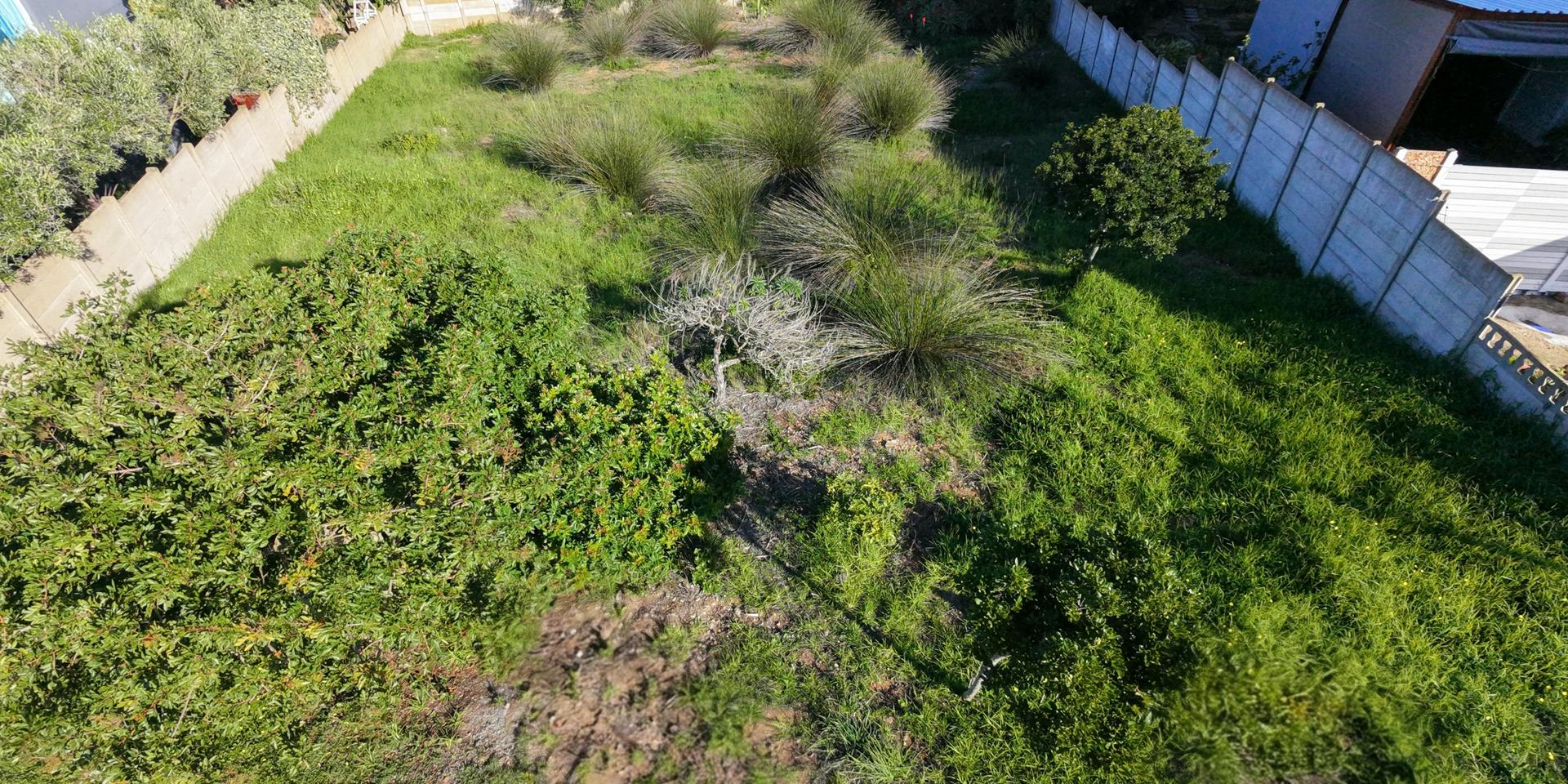 Image 2 of 6