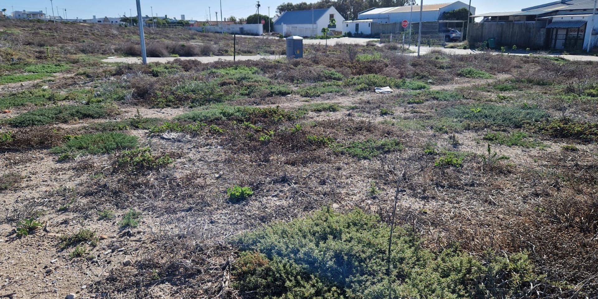 Image 4 of 6
