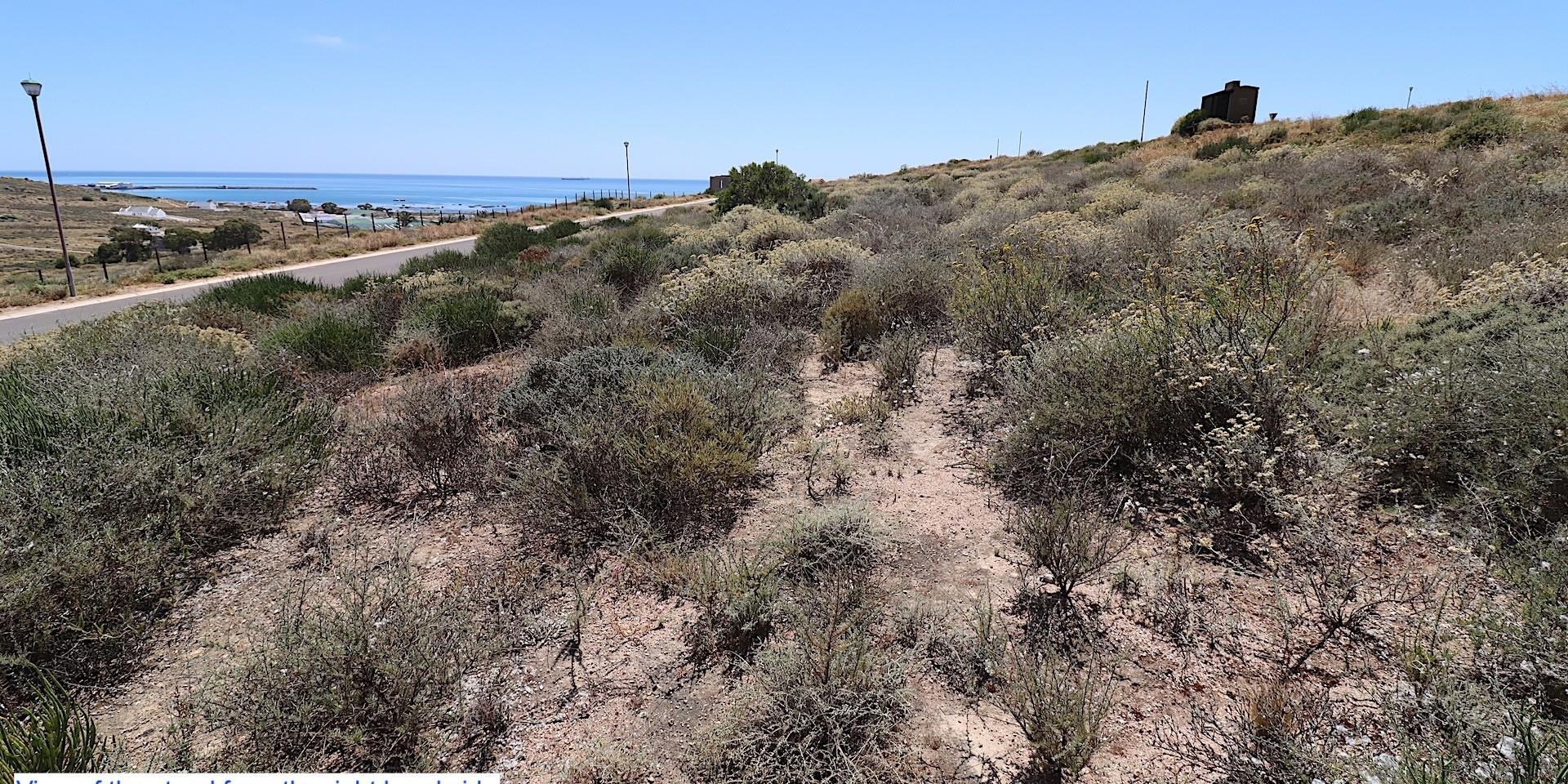 Image 4 of 6