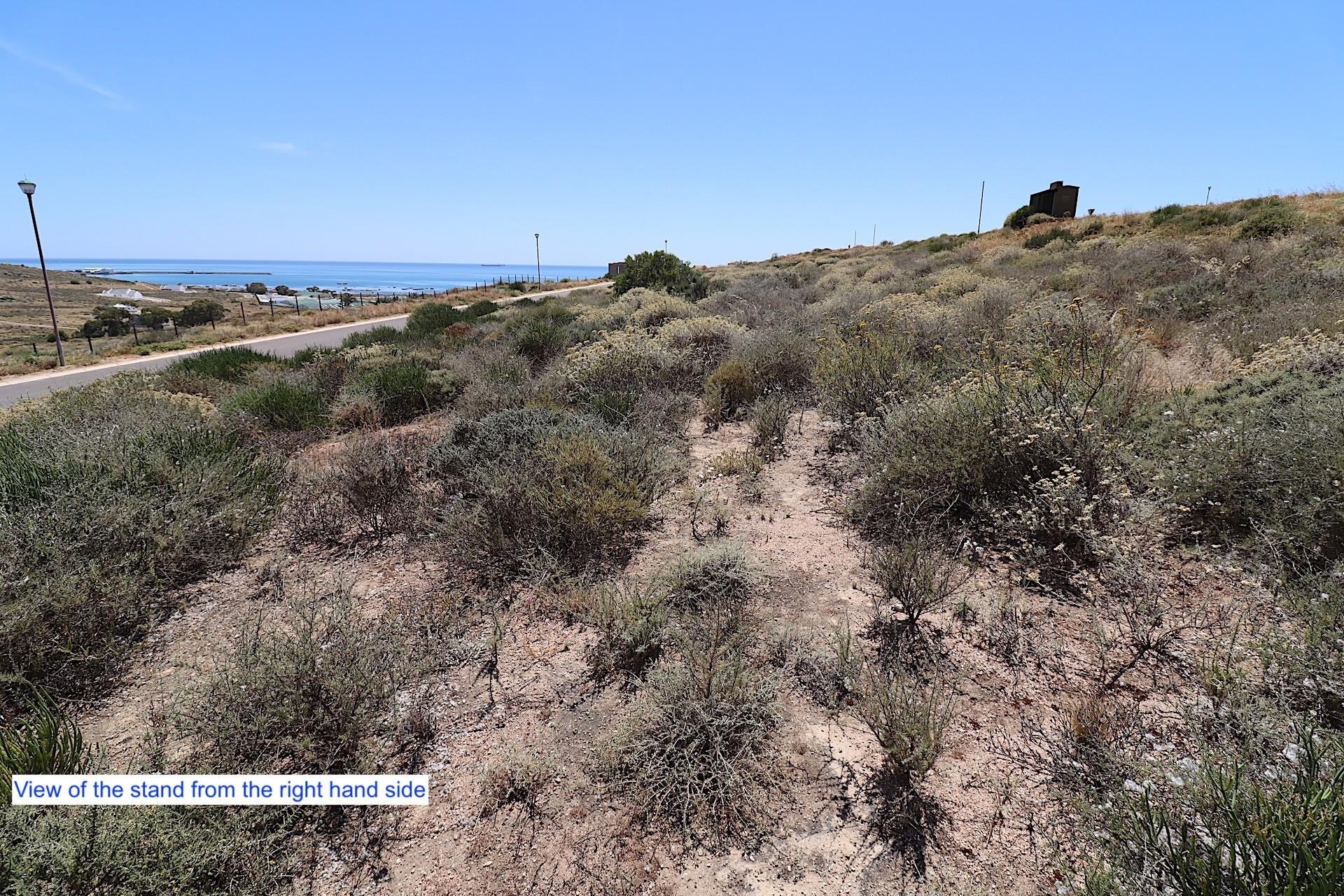 Image 4 of 6