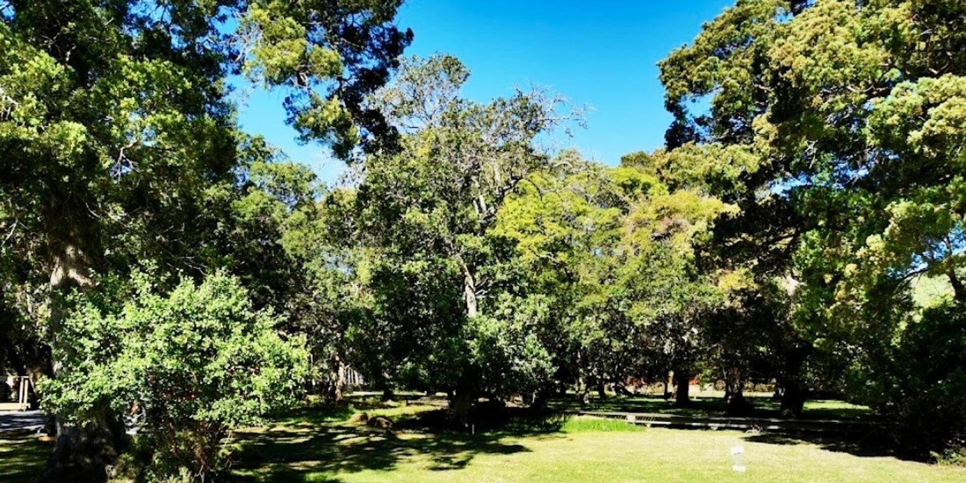 Image 3 of 6